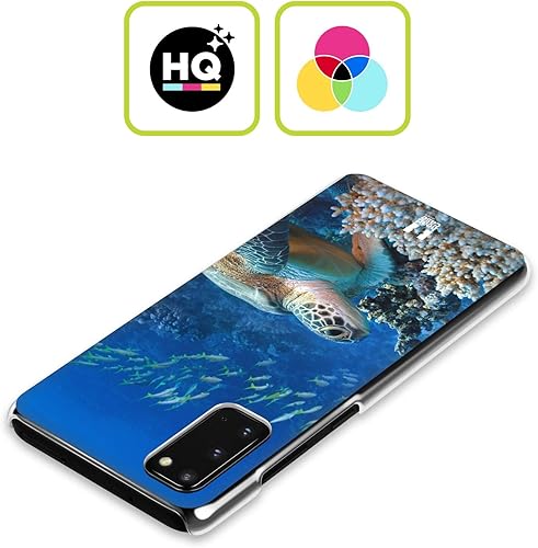Miniatura 2 de Head Case Designs Carcasa rígida para Samsung Galaxy S20 FE 5G de Sea Turtle Sitting On Coral Reef Wildlife