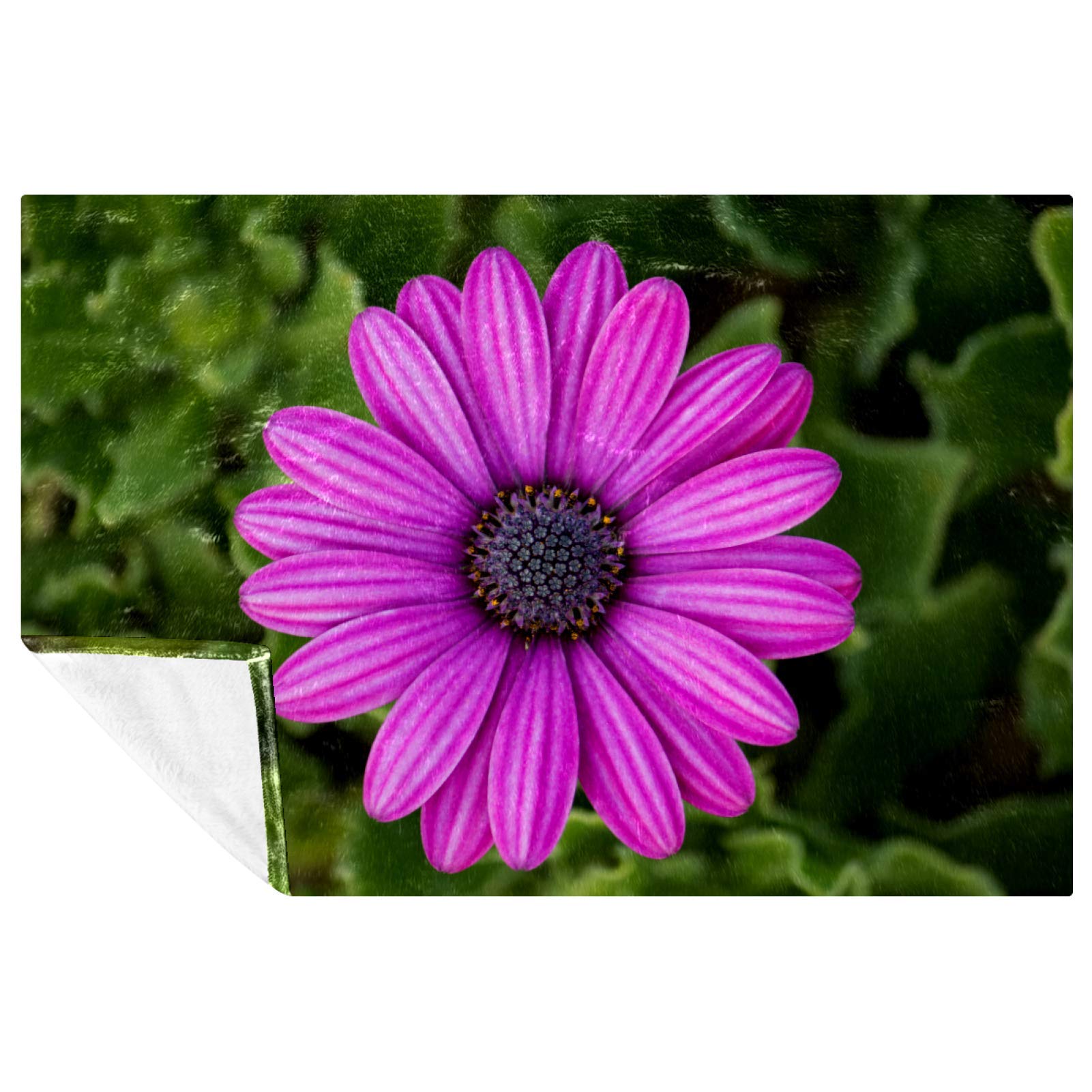 Couverture douce pour pique-nique et camping, plaid chaud de plage Osteospermum