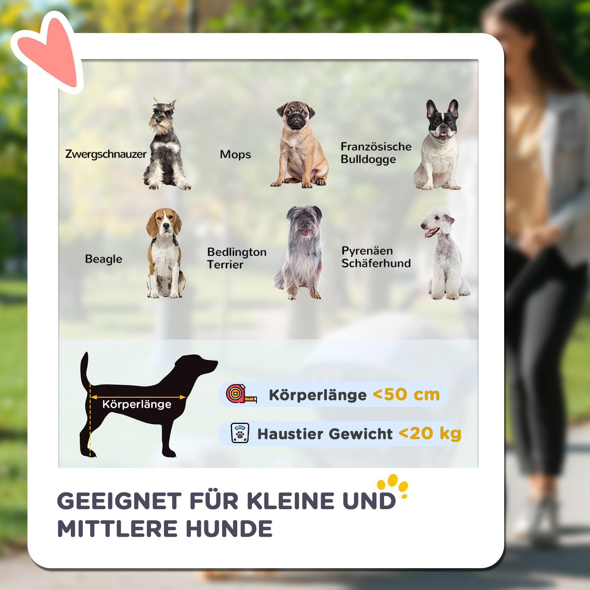 PawHut poussette pour chien, buggy pliable pour chien, trolley pour chien avec coussin, buggy pour chat jusqu'à 20 kg, poussette pour chat pour chiens de petite et moyenne taille avec poches