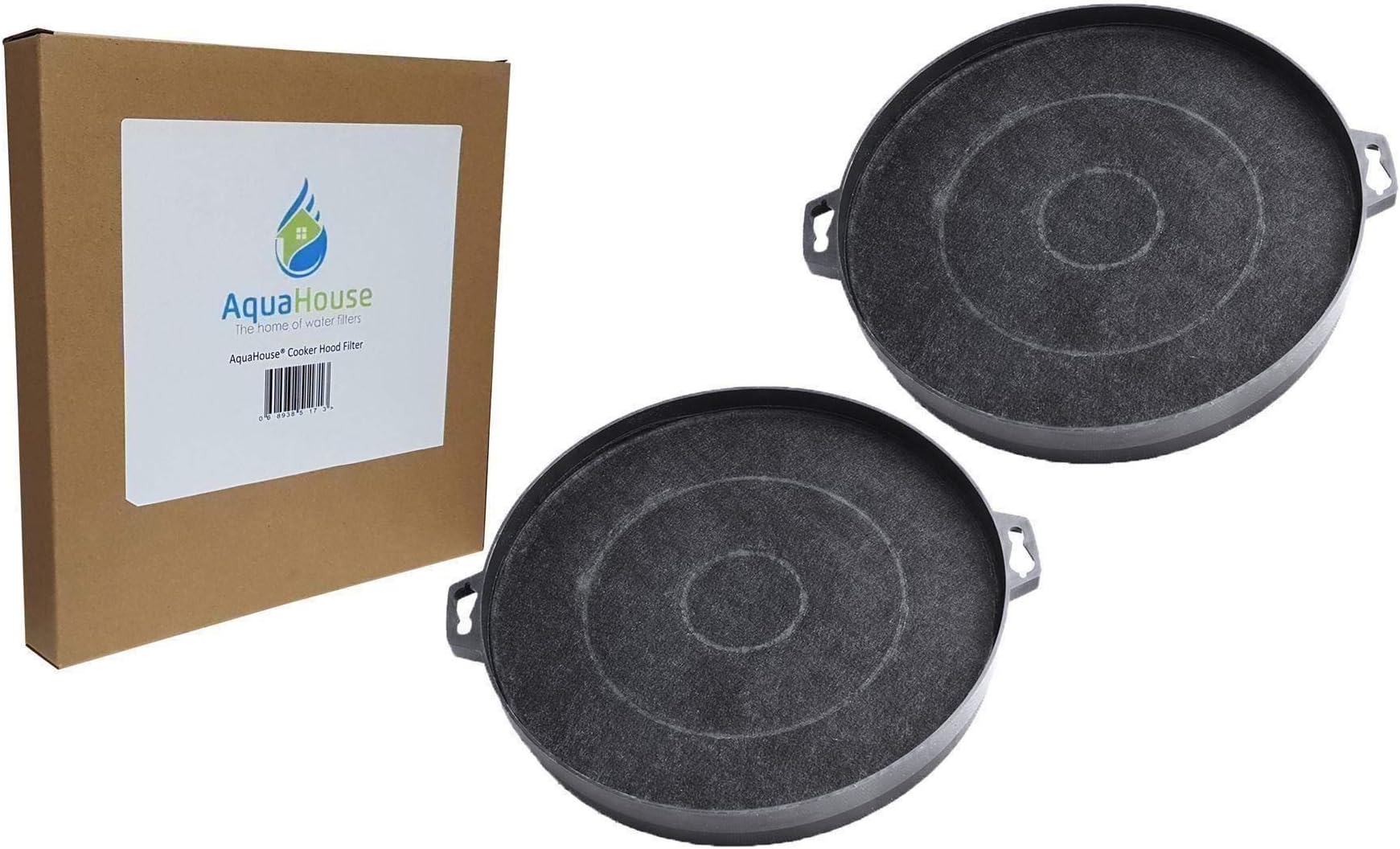 Figurine Exclusive Zombicide Black Plague - Lady Faye (Kickstarter) - Neuf Sans Boîte Extérieure, édition Limitée