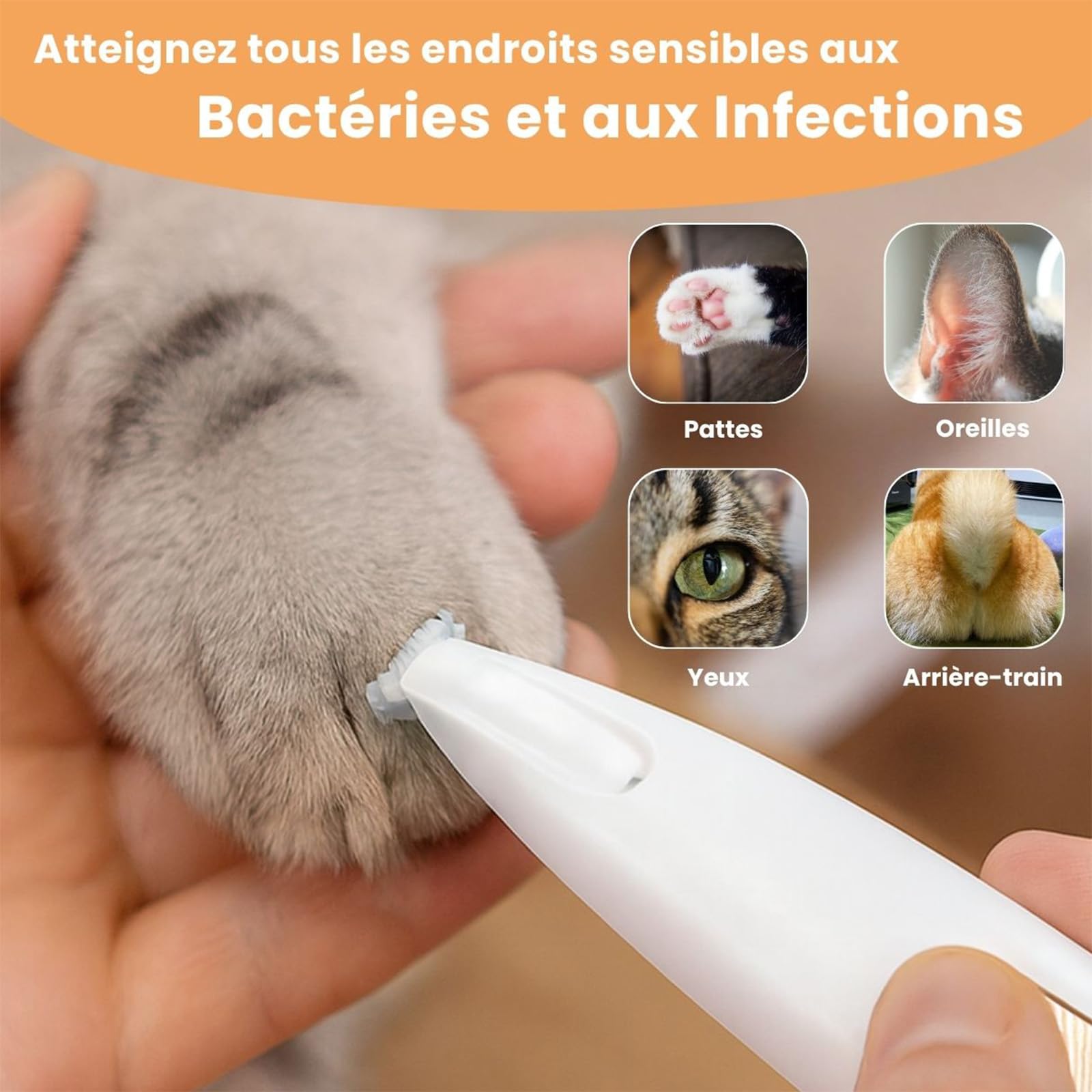 Tondeuse De Précision Pour Chat, Tondeuse Pour Chien Silencieuse Tondeuses À Pattes Avec Led & Usb-C, Lames Céramique Et Inox, Étanche, Toilettage Zones Sensibles Sans Stress (A)