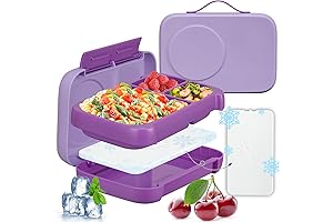 Kids Bento Lunch Box with Built-in Ice Pack for School