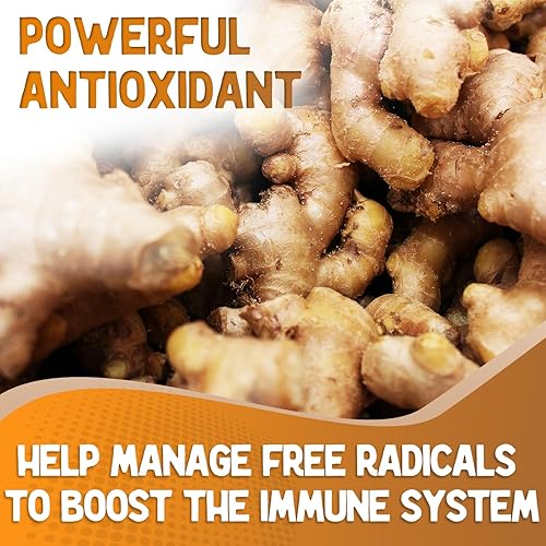 Miniatura 3 de XPRS Nutra Polvo de jengibre - Polvo de raíz de jengibre molido prémium con potente sabor picante, jengibre molido en polvo - Jengibre en polvo