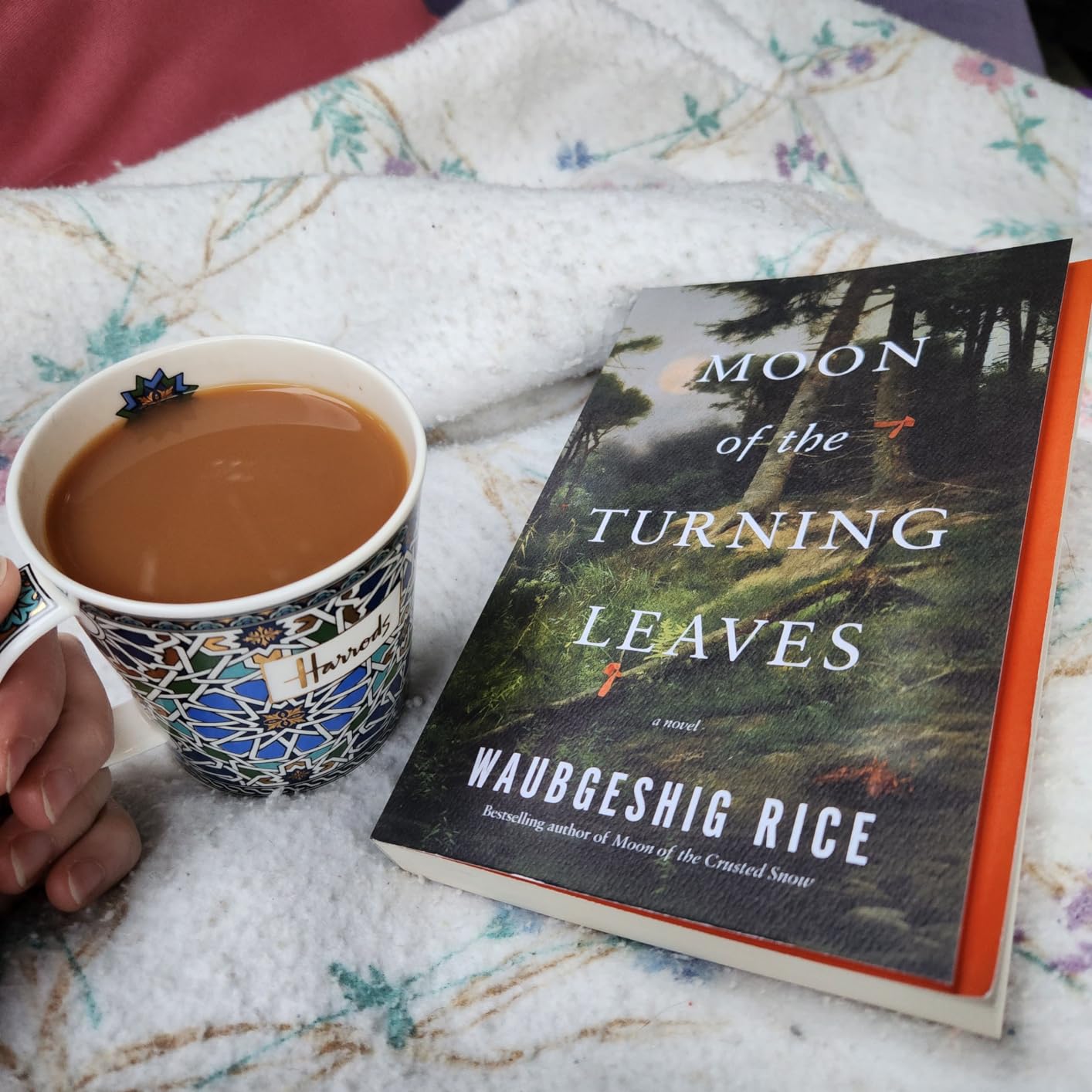 Moon of the Turning Leaves eBook : Rice, Waubgeshig: Amazon.ca: Kindle ...