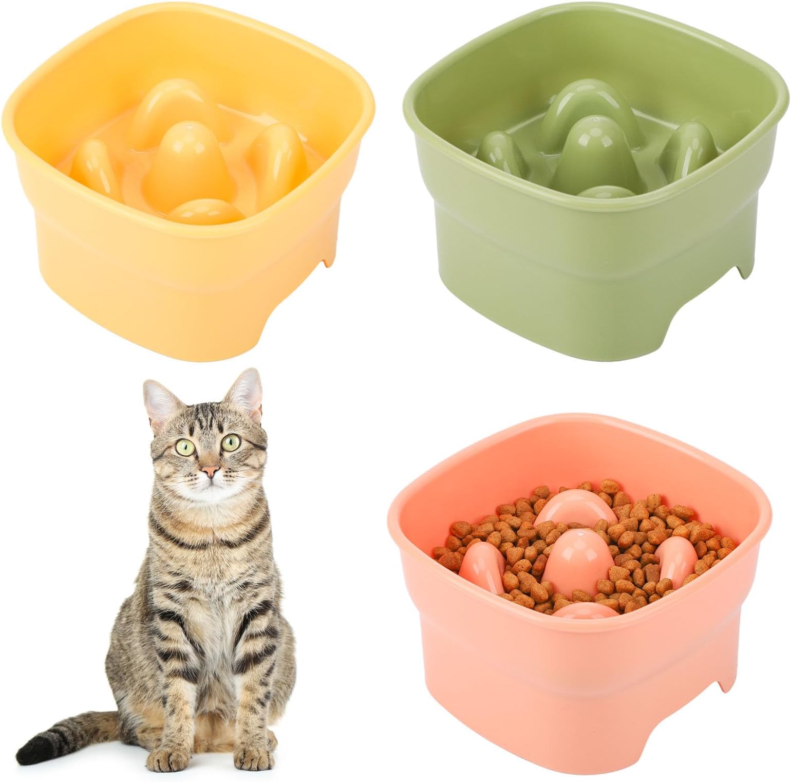 saerryor 3Pcs Raised Cat Bowl Cat Bowls with Stand Tilted Elevated Cat