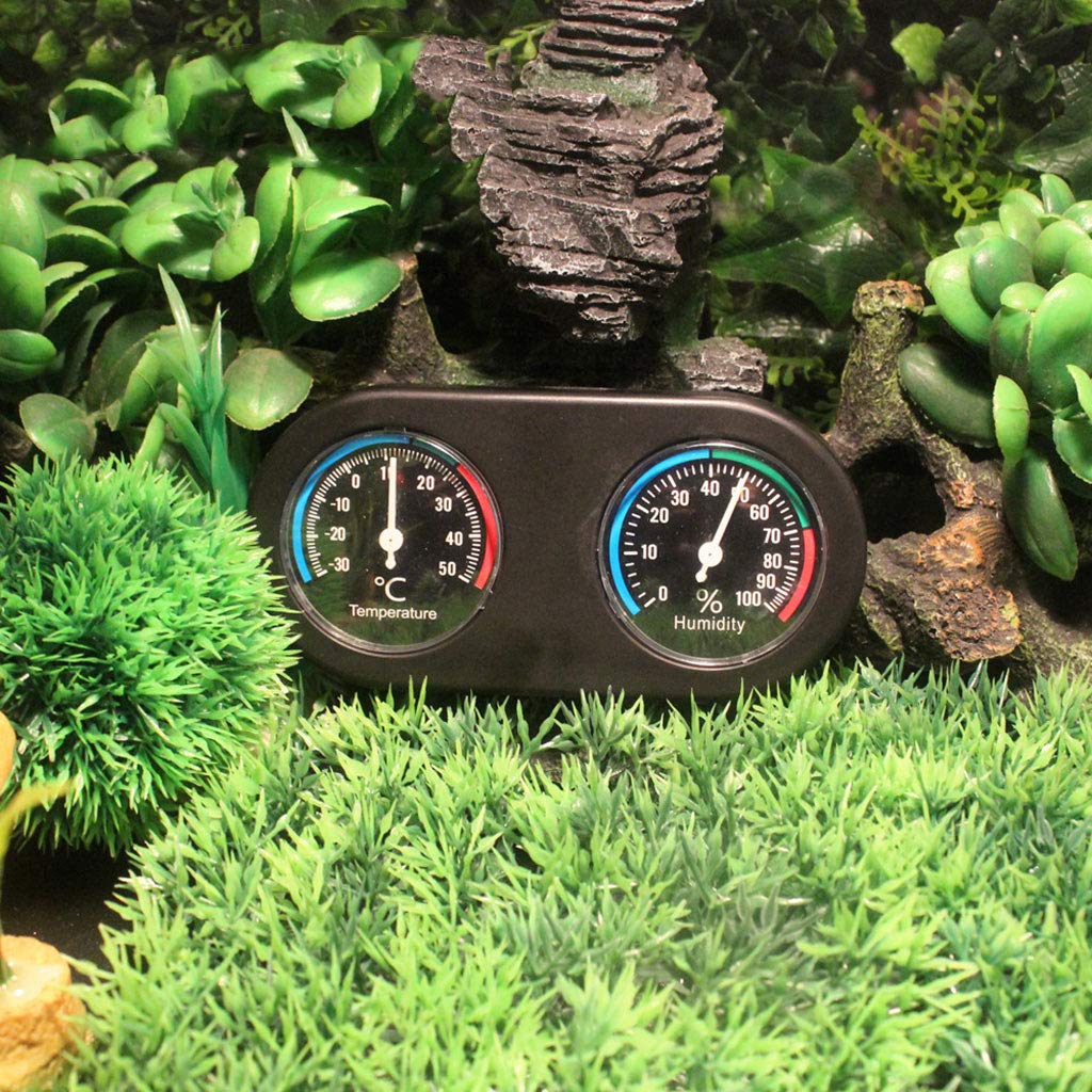 MOLKASIA Reptiles Terrarium Temperature Humidity Hygrometer for Snake