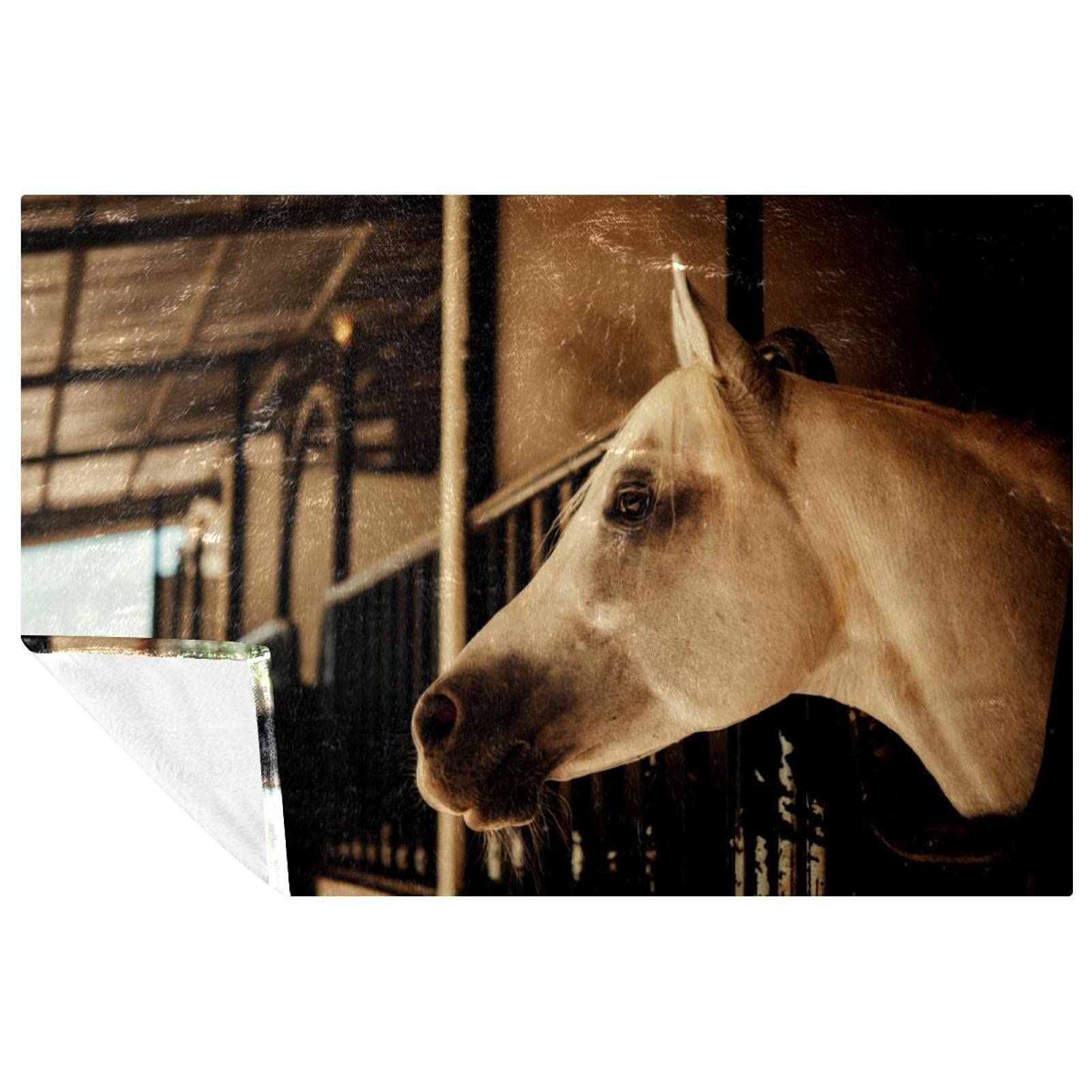 Couverture cheval nature pour pique-nique et camping confortable
