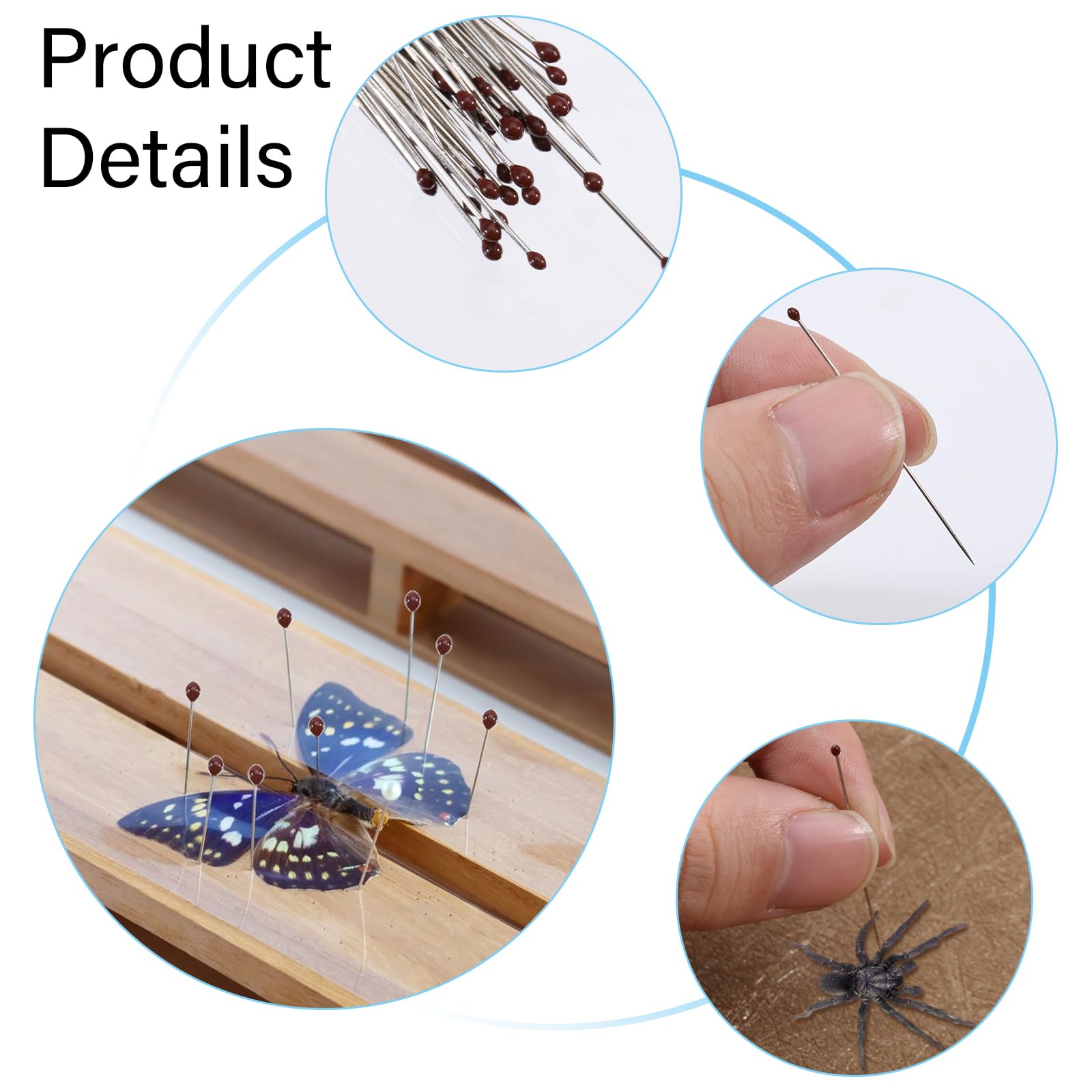 GLOBLELAND 400Pcs 4 Sizes Stainless Steel Insect Pins Specimen Entomology Pins and Butterfly Collections Needle for School Butterfly Collectors with Plastic Bottles (Size # 0 1 2 3) - Image 4