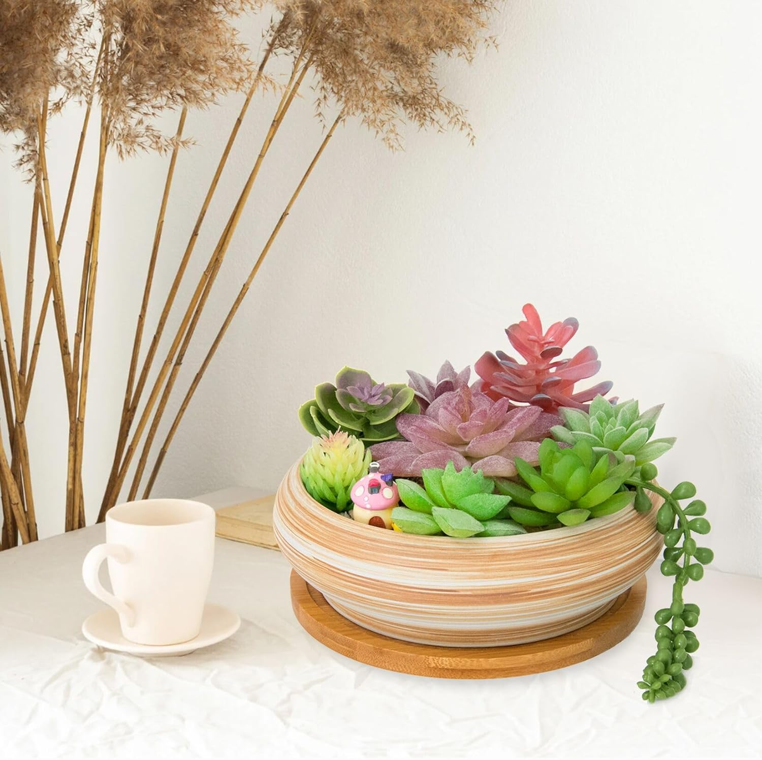 Succulent Pots - 7.3/10 Inch Large Plant Pot Ceramic Bonsai Planter with Drainage Tray, Shallow Planters for Succulents Cactus Flower Small Plants Birthday Gifts for Women