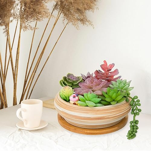 Miniatura 23 de ARTKETTY Macetas para suculentas con drenaje, maceta grande para suculentas con soporte y platillo, macetas poco profundas para bonsái de cerámica