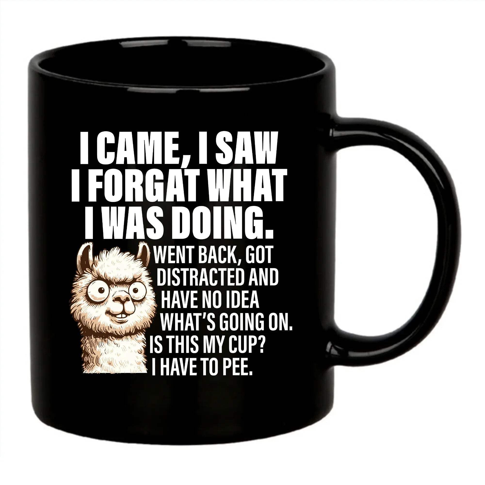 Panvola I Came I Saw I Forgot What I was Doing Old People Elderly Gifts Women Mom Men Grandpa Grandma 70th 80th 90th Birthday Senior Citizen Gifts People with Dementia Ceramic Mug (Black, 11 oz)