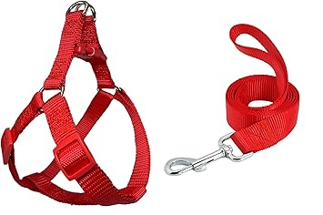 RvPaws Nylon Adjustable Leash with Harness Set 0.5 Inch Puppy Harness for Small & Medium Dogs - 15 MM (Red Color)