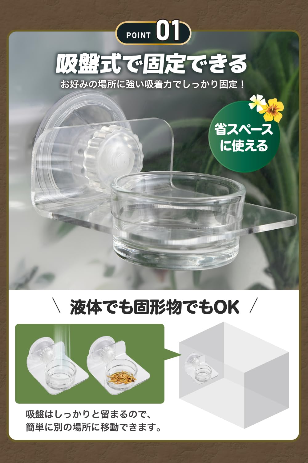 Amazon | 【プロ目線で考えた】 爬虫類 両生類 餌入れ 水入れ 吸盤固定