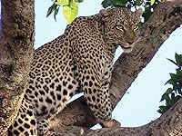 Review Image by MammaDi3Gatti MammaDi3Gatti