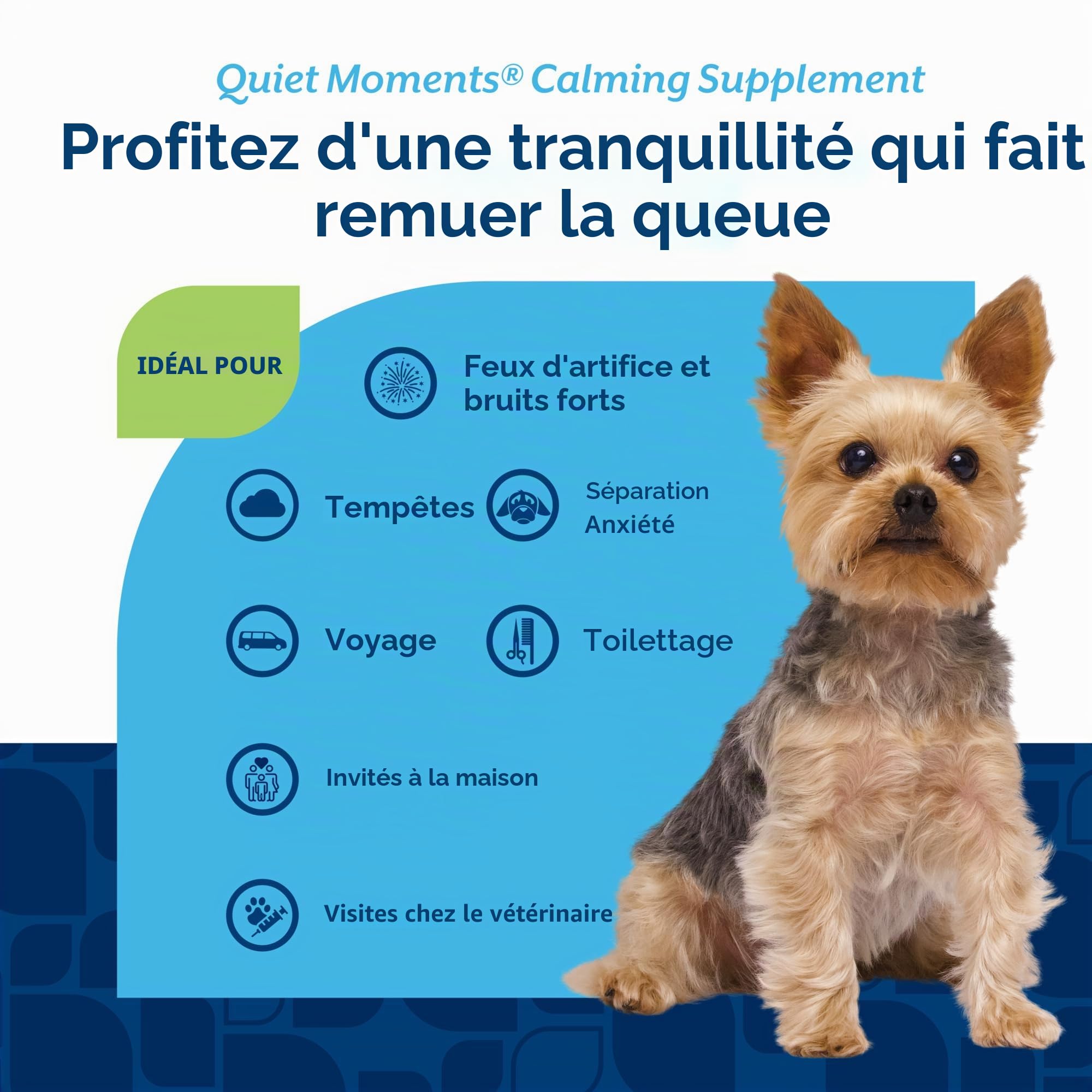 NaturVet – Quiet Moments – Aide apaisante pour Chats – Aide à réduire Le Stress et favoriser la Relaxation – Idéal pour Les tempêtes, Les Feux d'artifice, Les Voyages et Le toilettage – 70 friandises