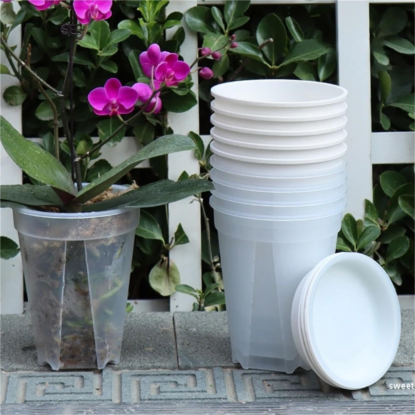 Przezroczyste plastikowe rośliny Przezroczyste doniczki na rośliny, 6 sztuk na storczyki 12-18CM(15CM)