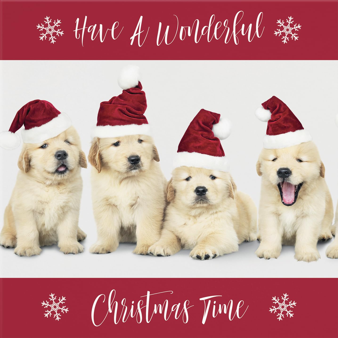 Hunts England - Individual Christmas Card - Have A Wonderful Christmas Time - Puppy Collection - Fun Xmas Card - Image 2