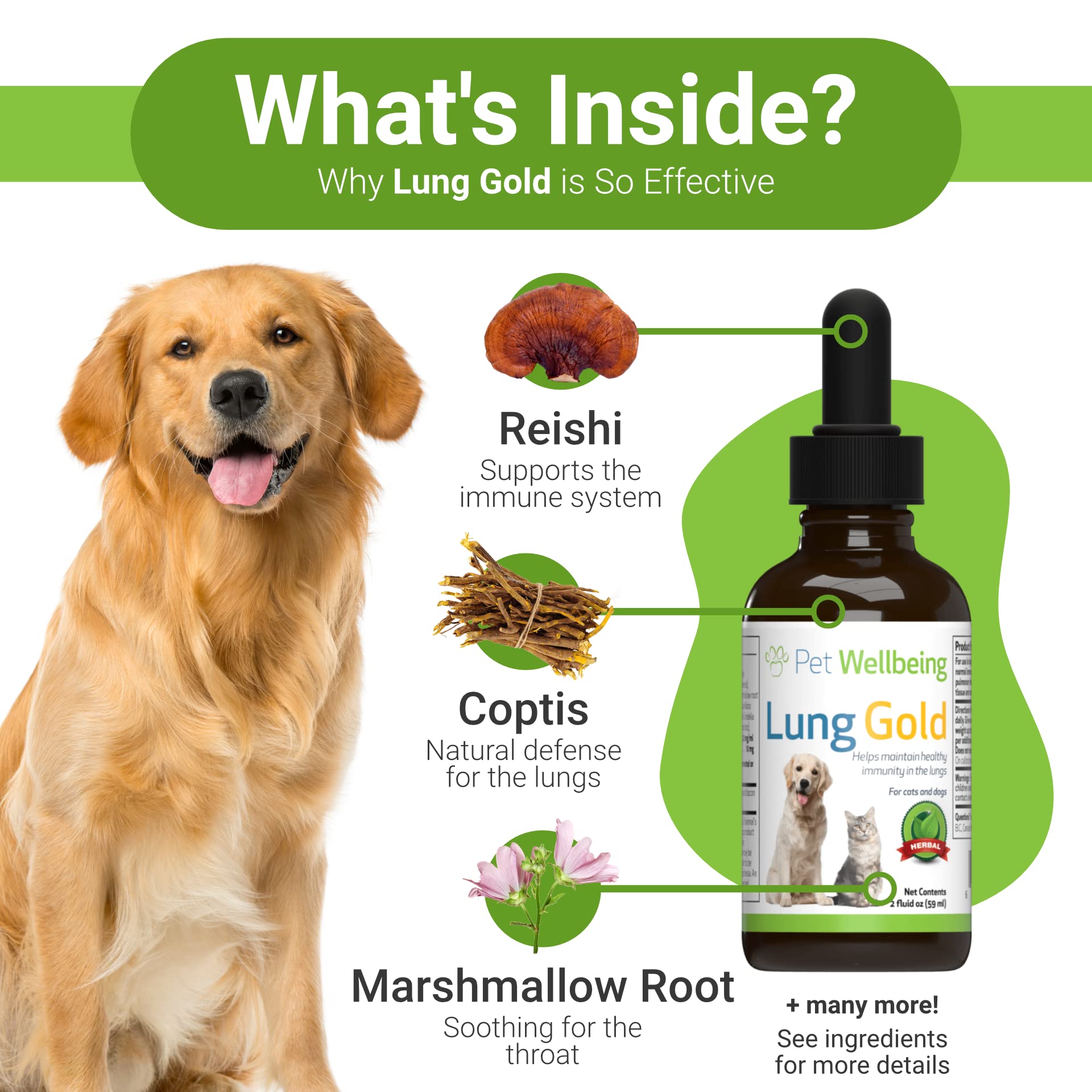Pet Wellbeing Lung Gold for Dogs Natural Breathing Support for