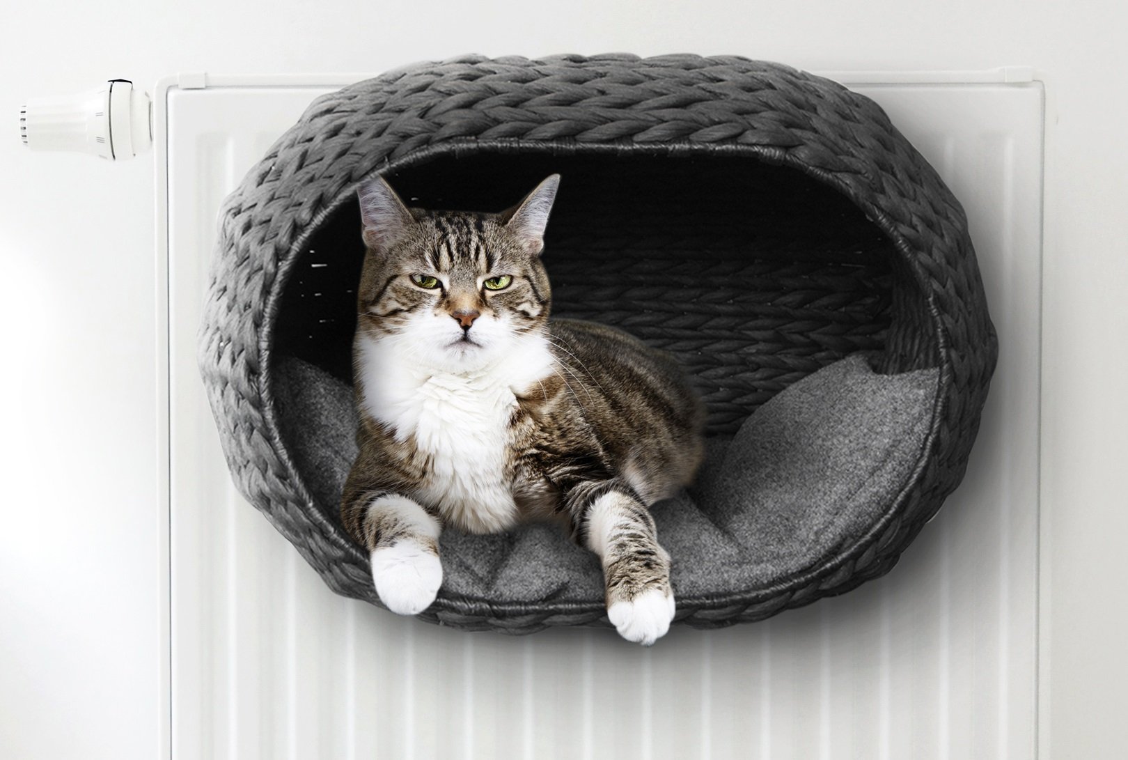 EBI Katzenkorb Sunrise aus Bastpapier, für Katzen, 1 Stück, 5 kg, beheizt, 15 cm, rechteckig, Innenbereich