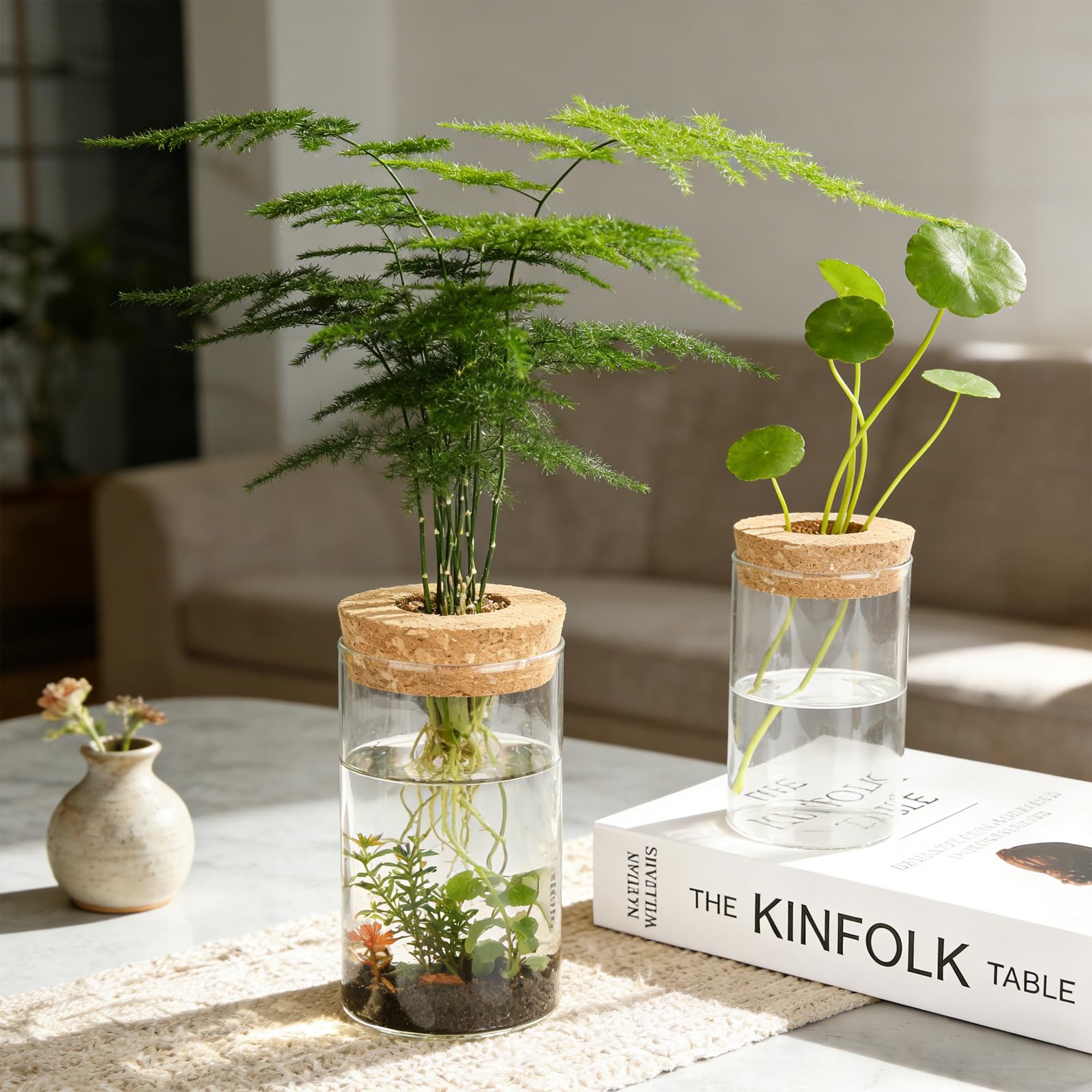 BigKing Terrario hidropónico para plantas de 4 piezas con tapa de madera, juego completo de jardín de botellas, terrario de plantas, vidrio hidropónico para plantas de flores y plantas de interior
