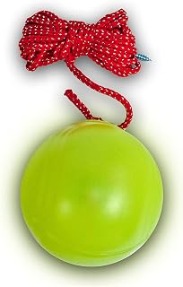 Maxsa 37340 Park Perfect Light Up LED Parking Ball