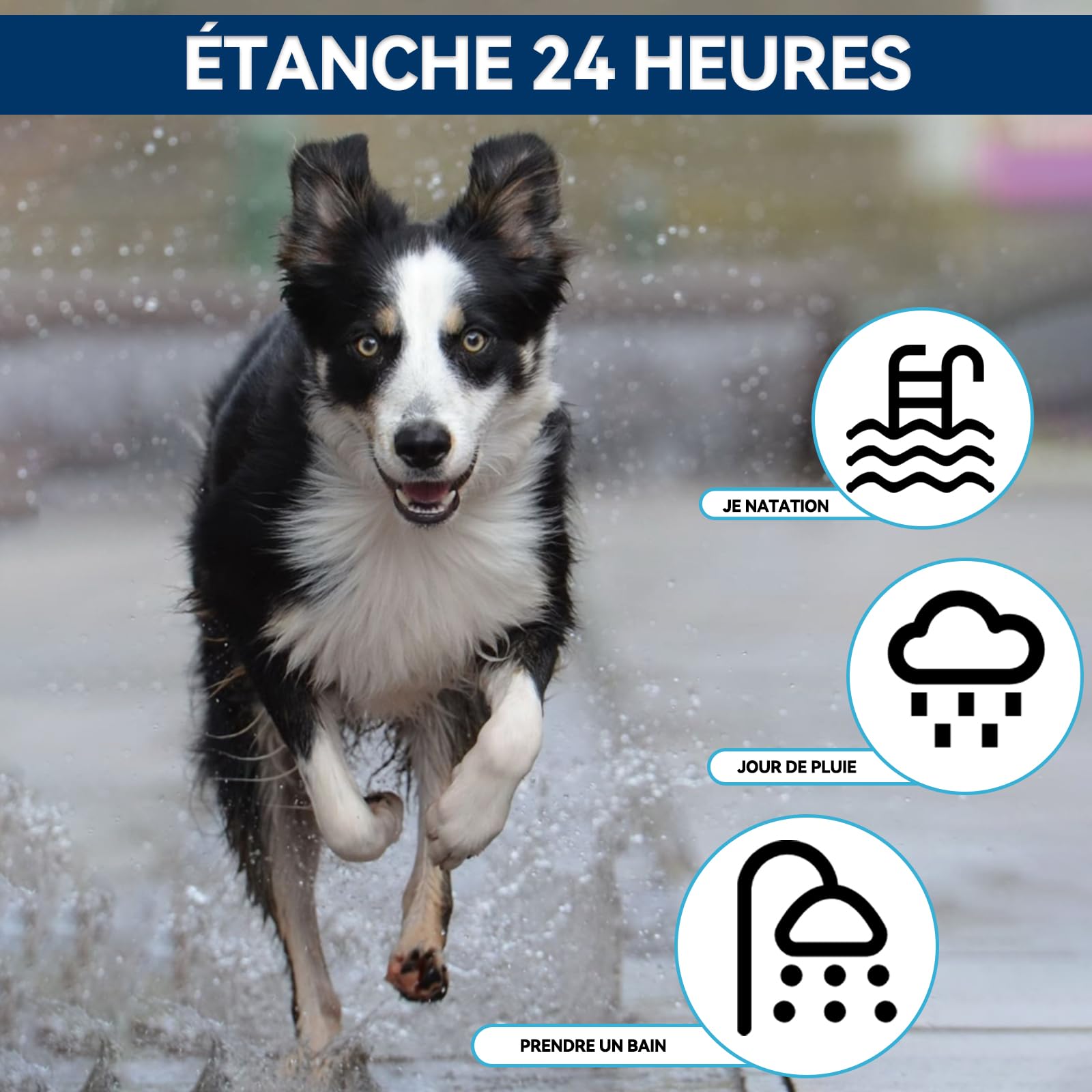 Collier Anti Puces pour Chien Réglable, Élimine Puces, Tiques, Poux, Résistant à l'eau, Huiles Essentielles 100% Naturelles, pour Chiens Grands, Moyens et Petits (63.5CM,2PACK)