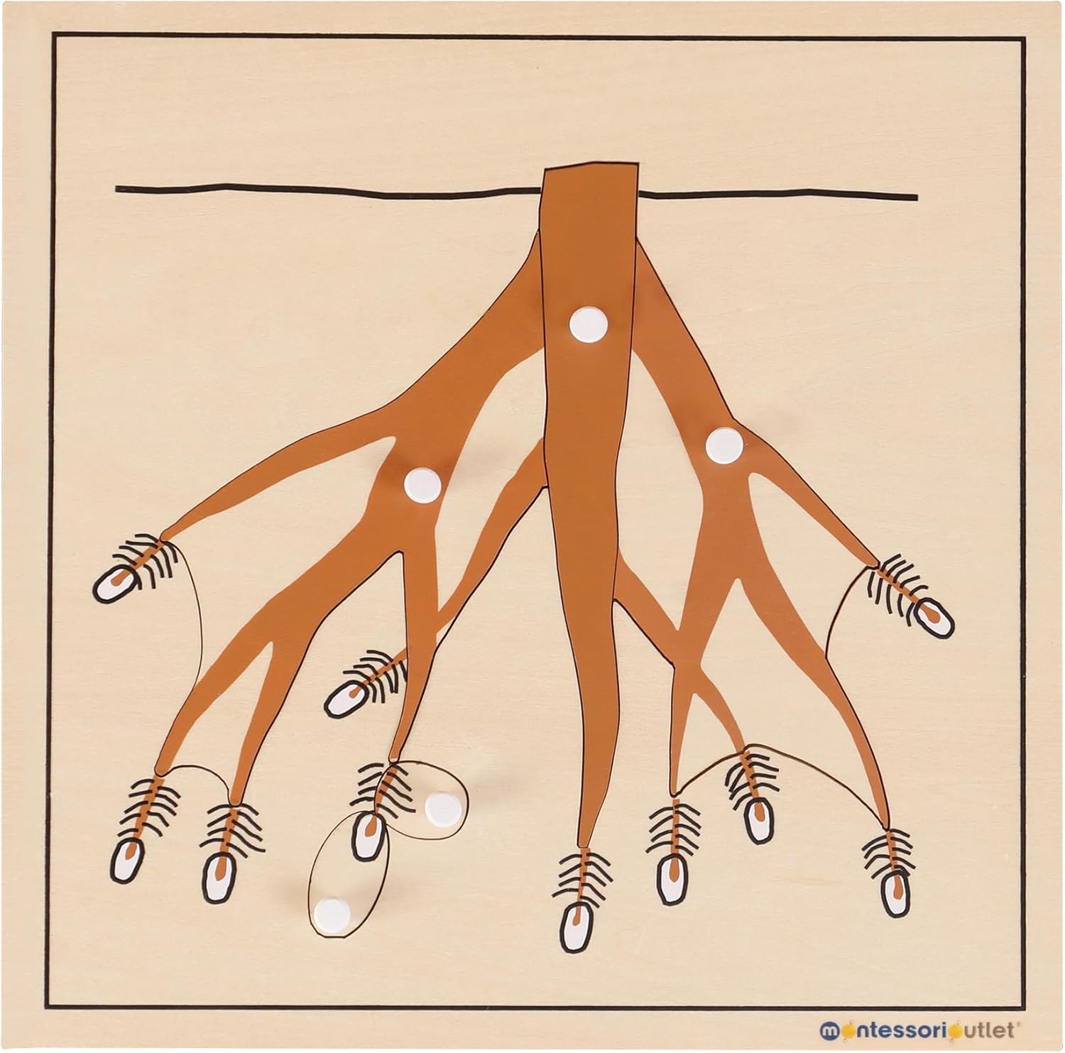 Amazon.com: MONTESSORI OUTLET Nature Materials Root Puzzle Early ...