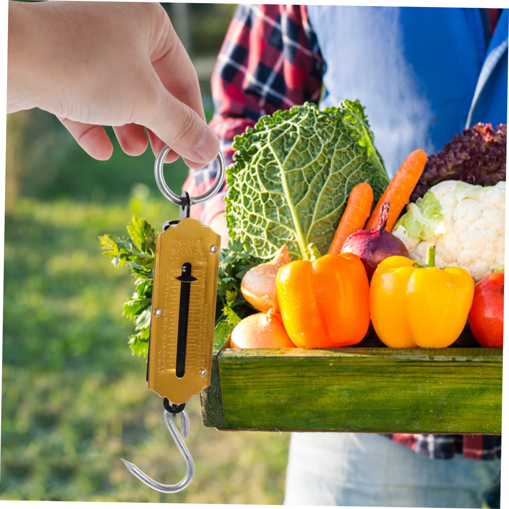 Toddmomy Báscula De Portátil De Colgante Manual Para Equipaje Y Pesca Diseño Duradero Sin Baterías Mango Ergonómico Para Fácil Pesaje 2 Piezas X 5