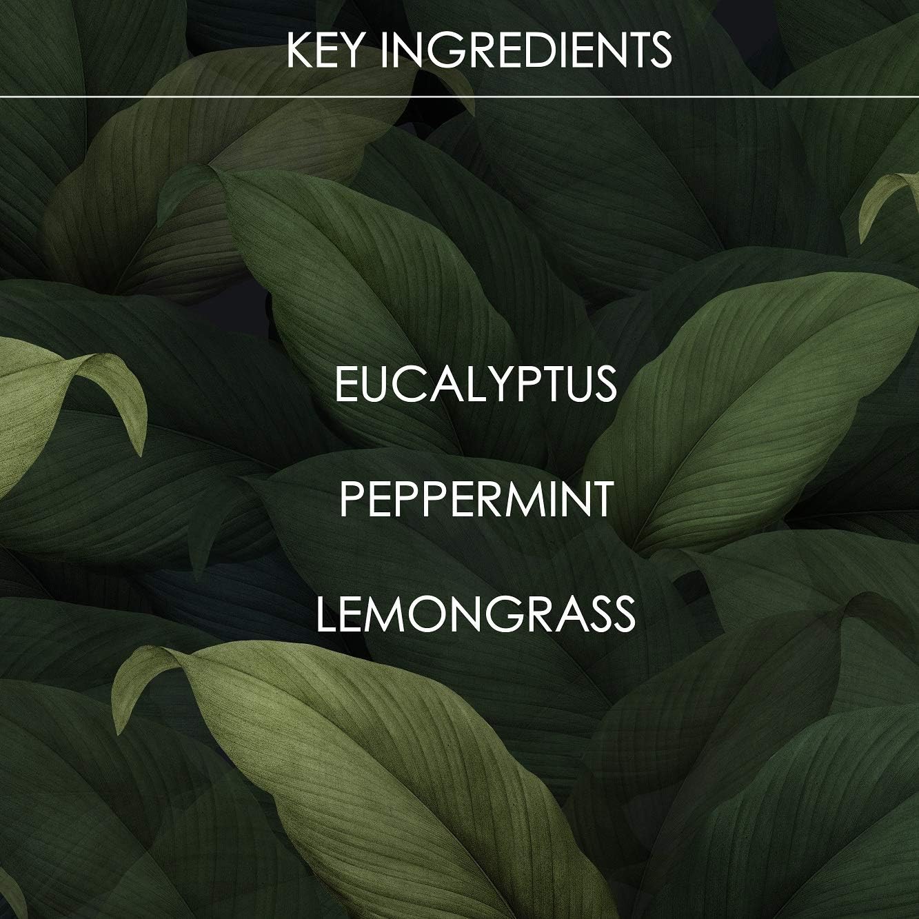 WildWash Pro Anti Flea Shampoo, 300 ml BigaMart