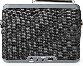 Multifunctionele DAB -radio met kleurendisplay
