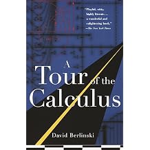 A Tour of the Calculus
