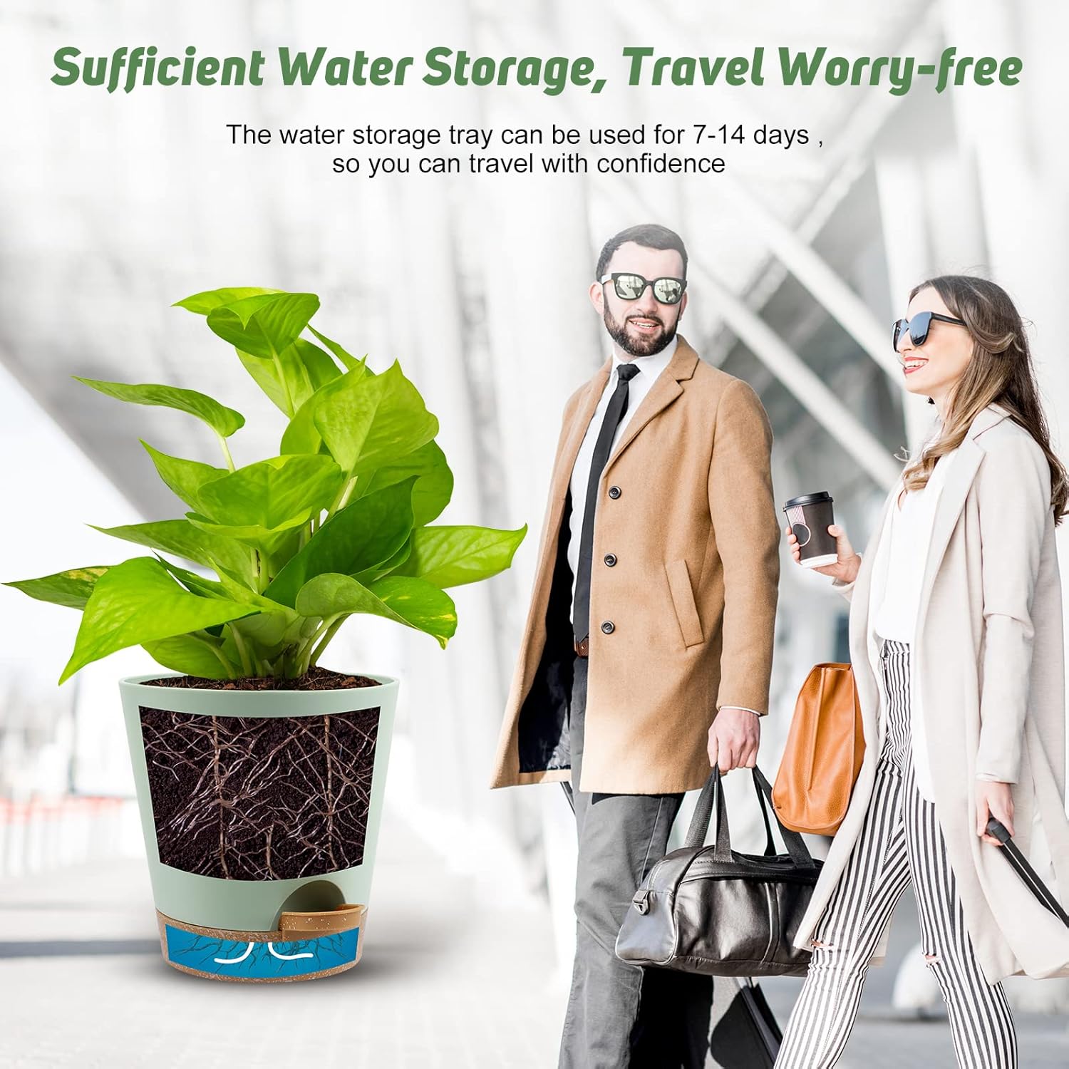 Indoor Self Watering Planters with Drainage Holes and Saucers, 8, 7, 6.5, 6, 5.5, 5 Inches, Green, 6 Pots. - Image 6