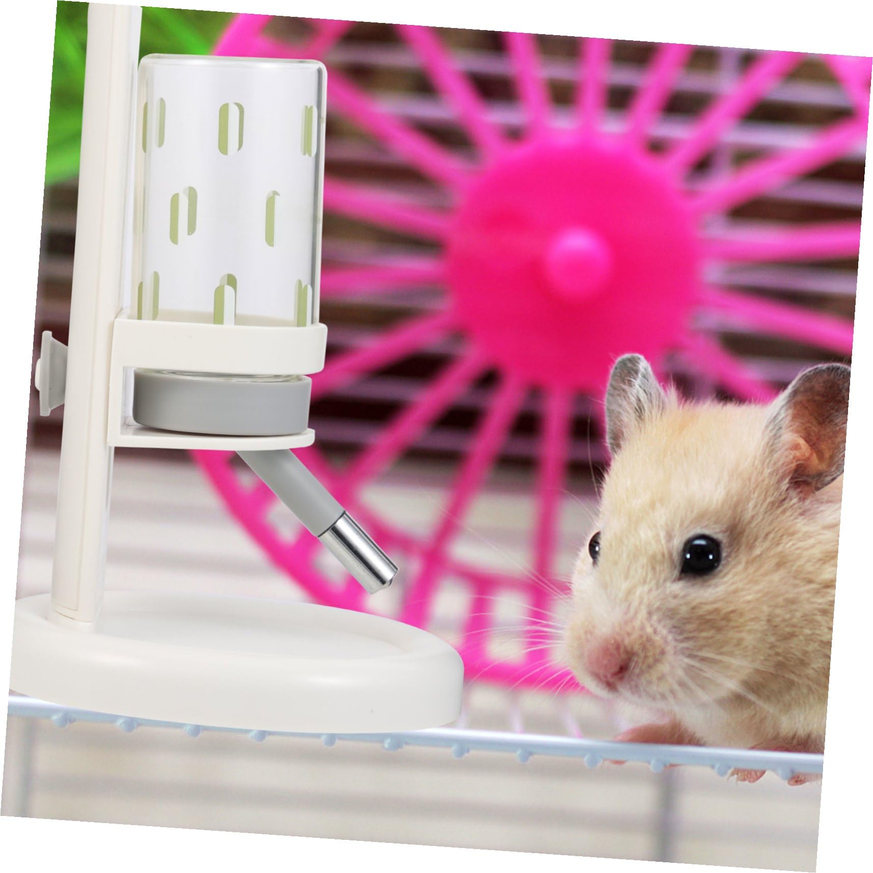 NUOBESTY Hamster Trinkflasche aus Abs und Glas mit Auslaufsicherer Wasserzuleitung und Halterung Praktischer Wasserspender für Kleine Haustiere im Haushalt