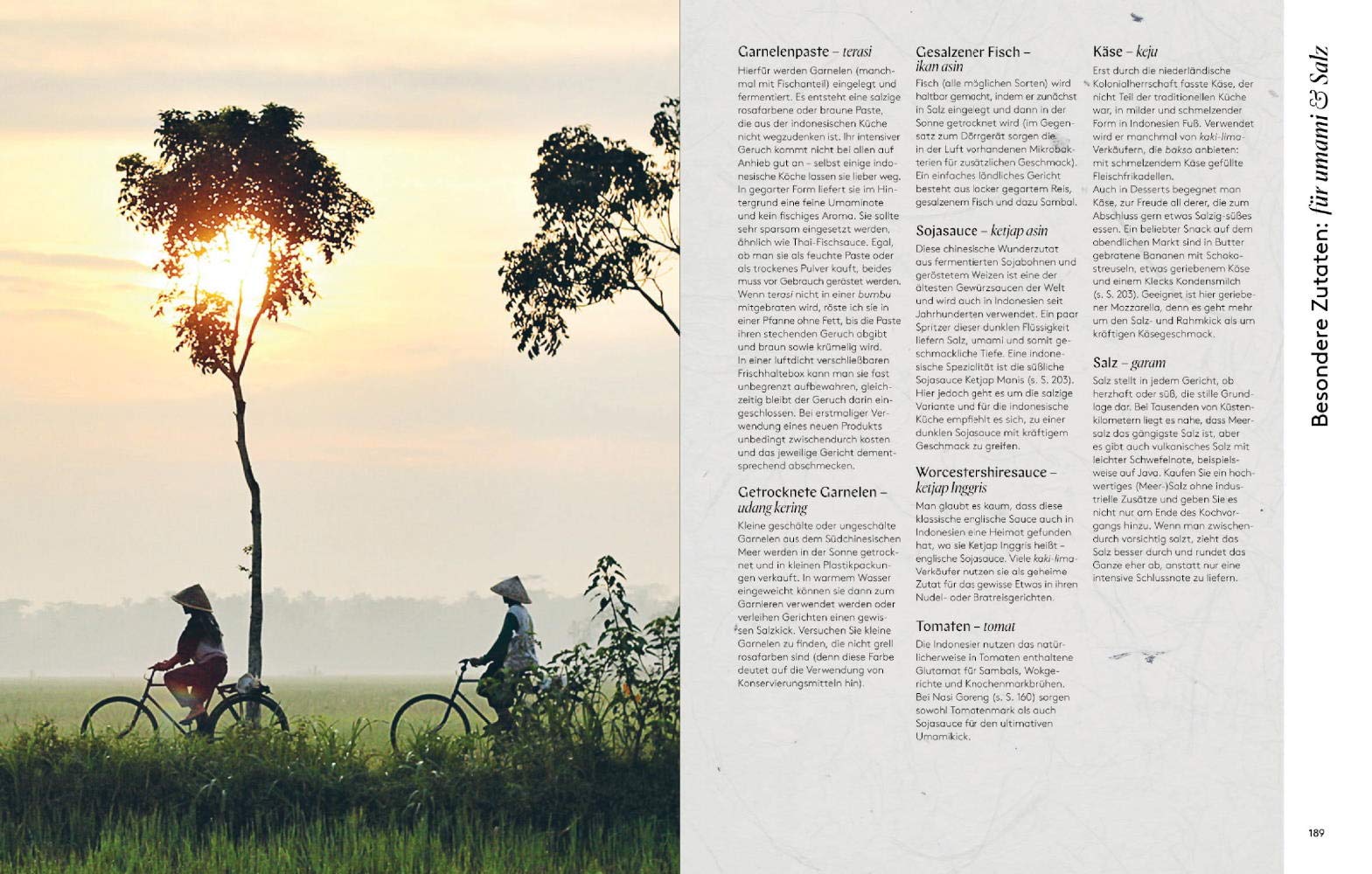 Fire Islands: Rezepte aus Indonesien. Das Indonesien-Kochbuch