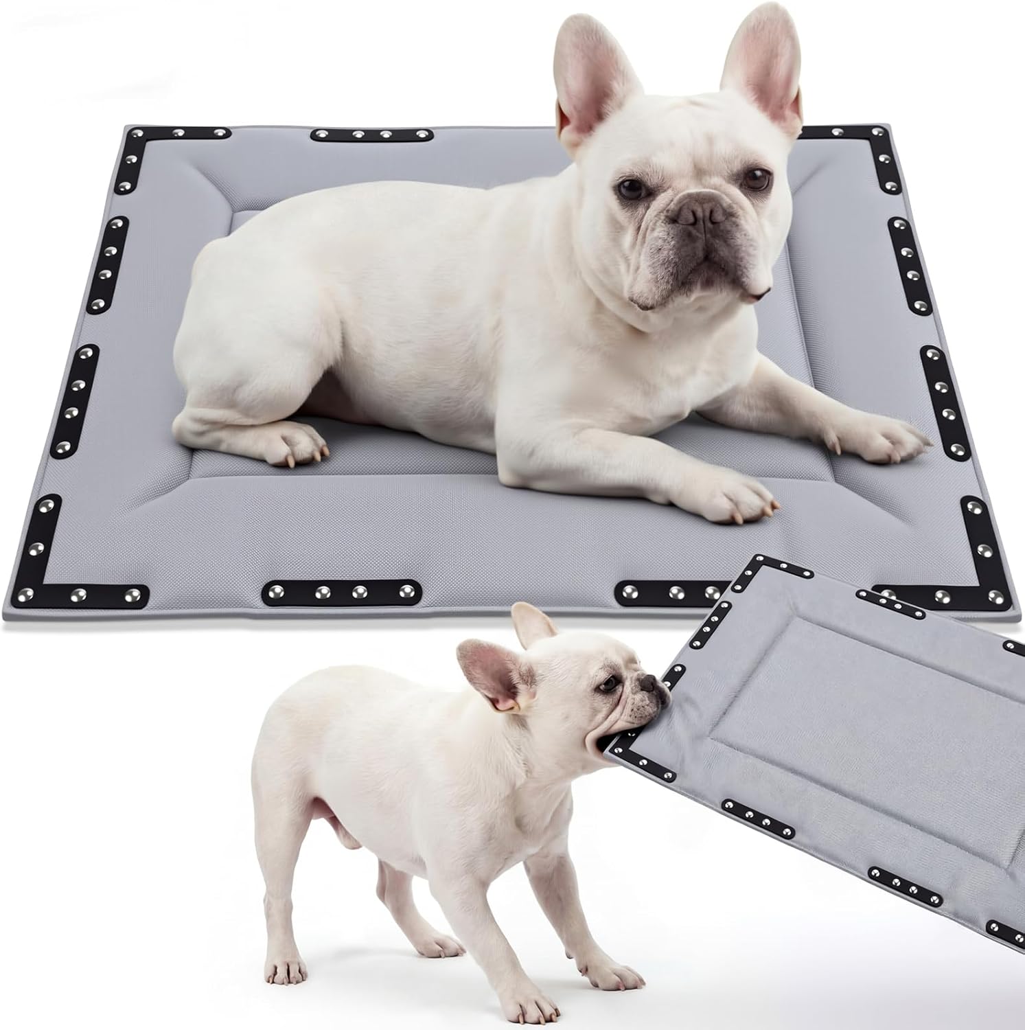 Colingmill Chew Proof Dog Crate Bed for Aggressive Chewers - Indestructible Dog Bed Waterproof Tear Proof Kennel Pad with 12 Metal Rivets for Small Medium Large Dogs(Gray,23” X 16”)