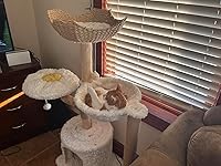 Review Image by Reviewer #458907432