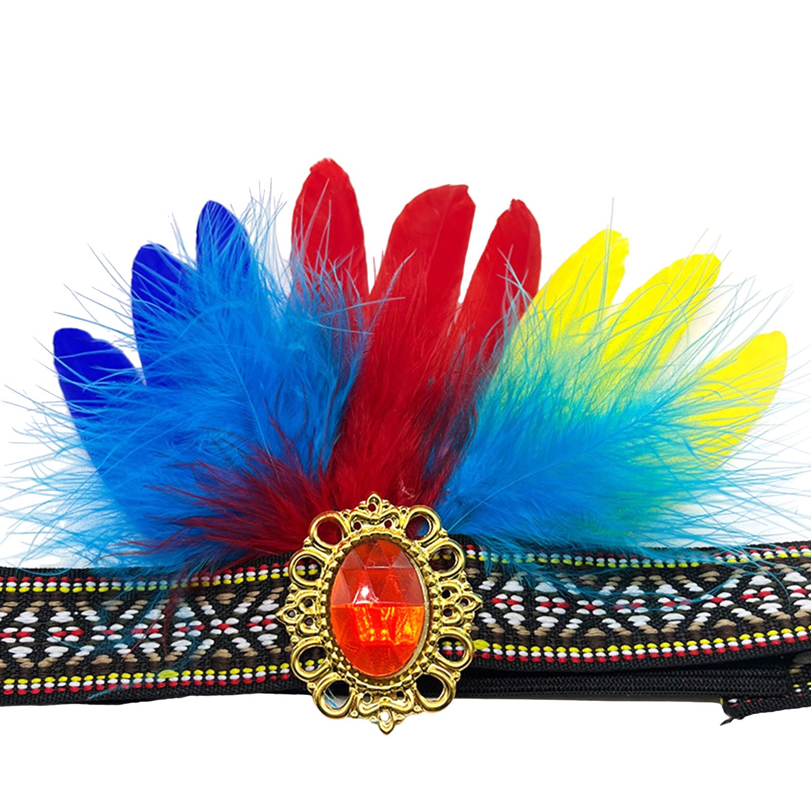 Elegant Feathered Headband Costume Accessories ...