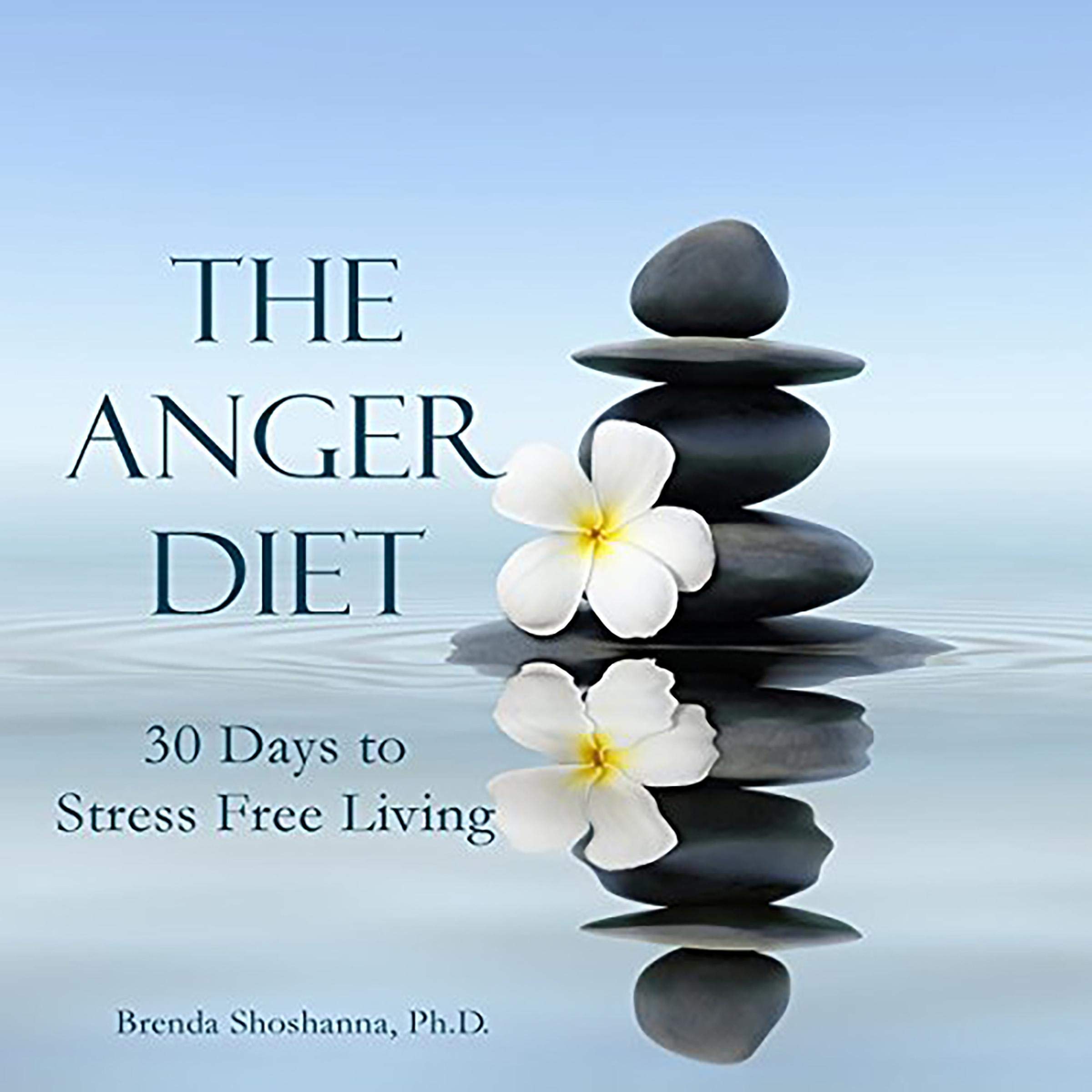 Cover art for The Anger Diet: Thirty Days to Stress-Free Living