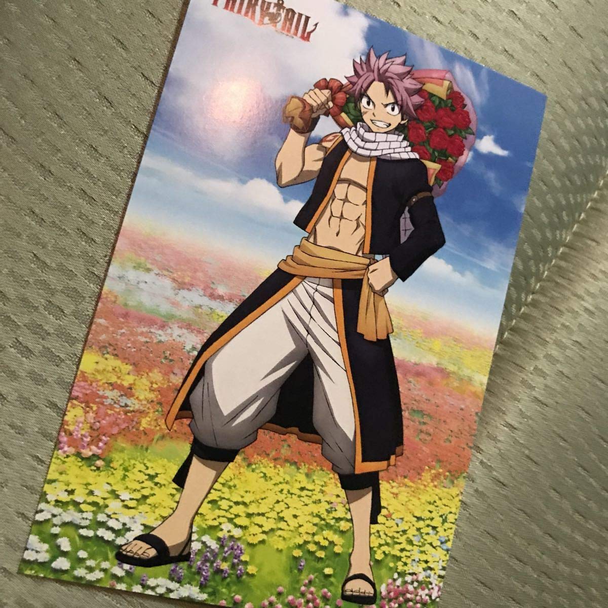 フェアリーテイル ポストカード ファイナルシリーズ】フェアリーテイル