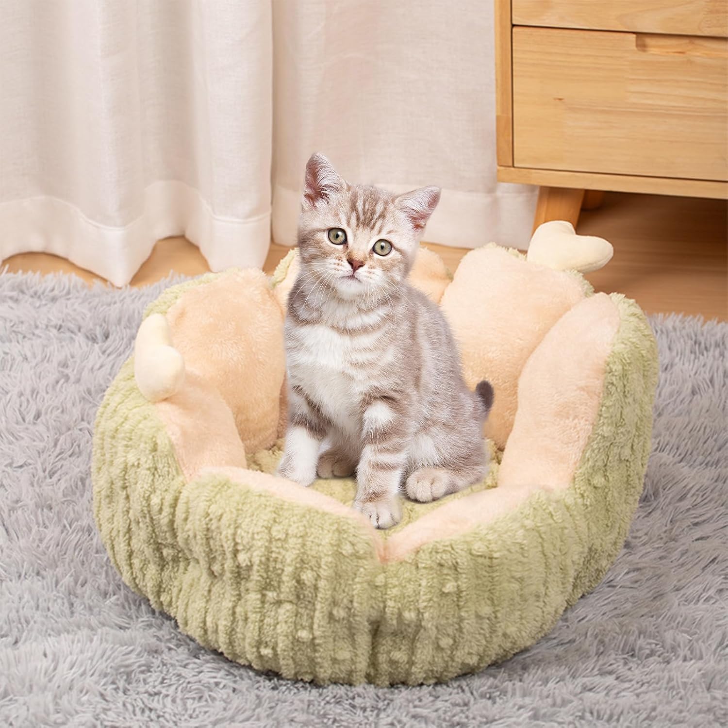 review Creative Dog Beds, Washable Kitten Sleeping Nest, Cactus Shaped Kitten House with Non Slip Bottom, Long Lasting Plush Cat Bed, Multipurpose Pet Sleeping Bed Suitable for Indoor Puppy and Kitten