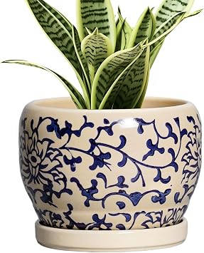 SQOWL Ceramic Flower Pots - 6 Inch Plant Pot Indoor with Drainage Hole and Saucer, Porcelain Ceramic Planter Outdoor, Decorative Round Small Planter, House Decor, Plant Lover Gifts, Blue and Beige