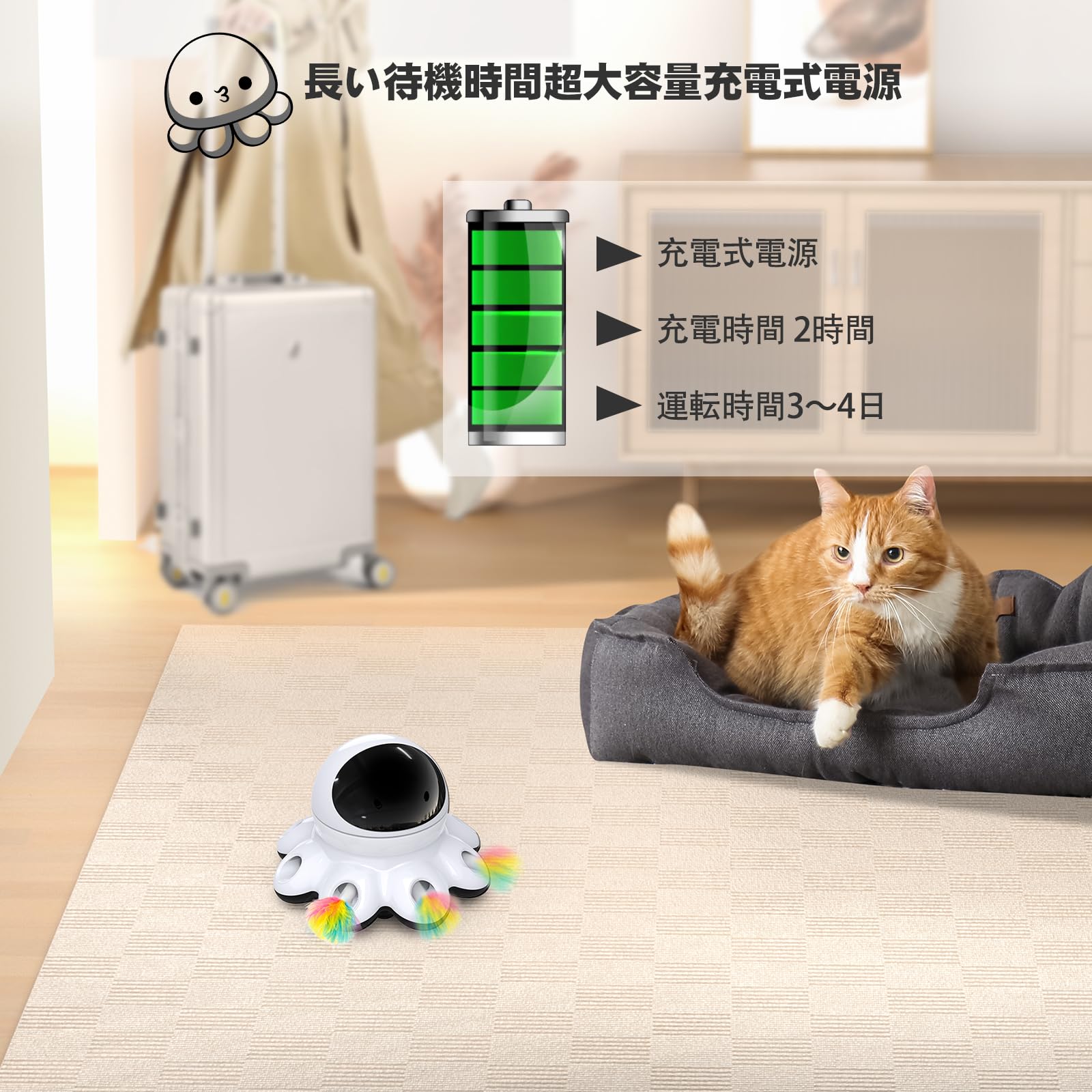 Amazon | 猫おもちゃ 電動 ORSDA 2-in-1一体式 自動回転 ペット