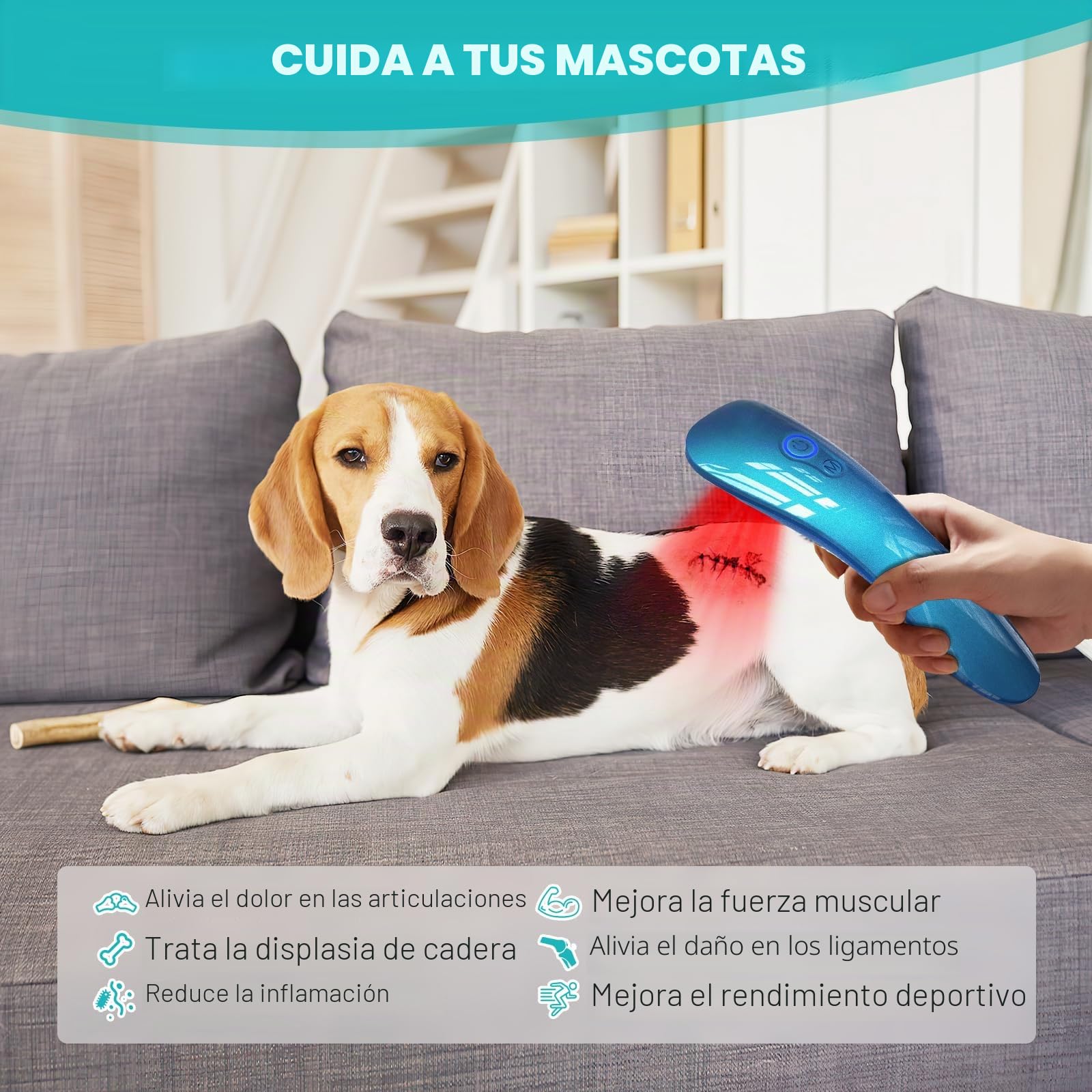 Terapia láser para perros, dispositivo de terapia de luz roja portátil con 18 x 620 nm para músculos de mascotas, cadera y artritis articular, alivio del dolor, cuidado de heridas, problemas