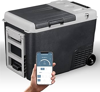 Amazon.co.jp: 【在庫一掃セール】【保温機能付き】 ポータブル冷温庫