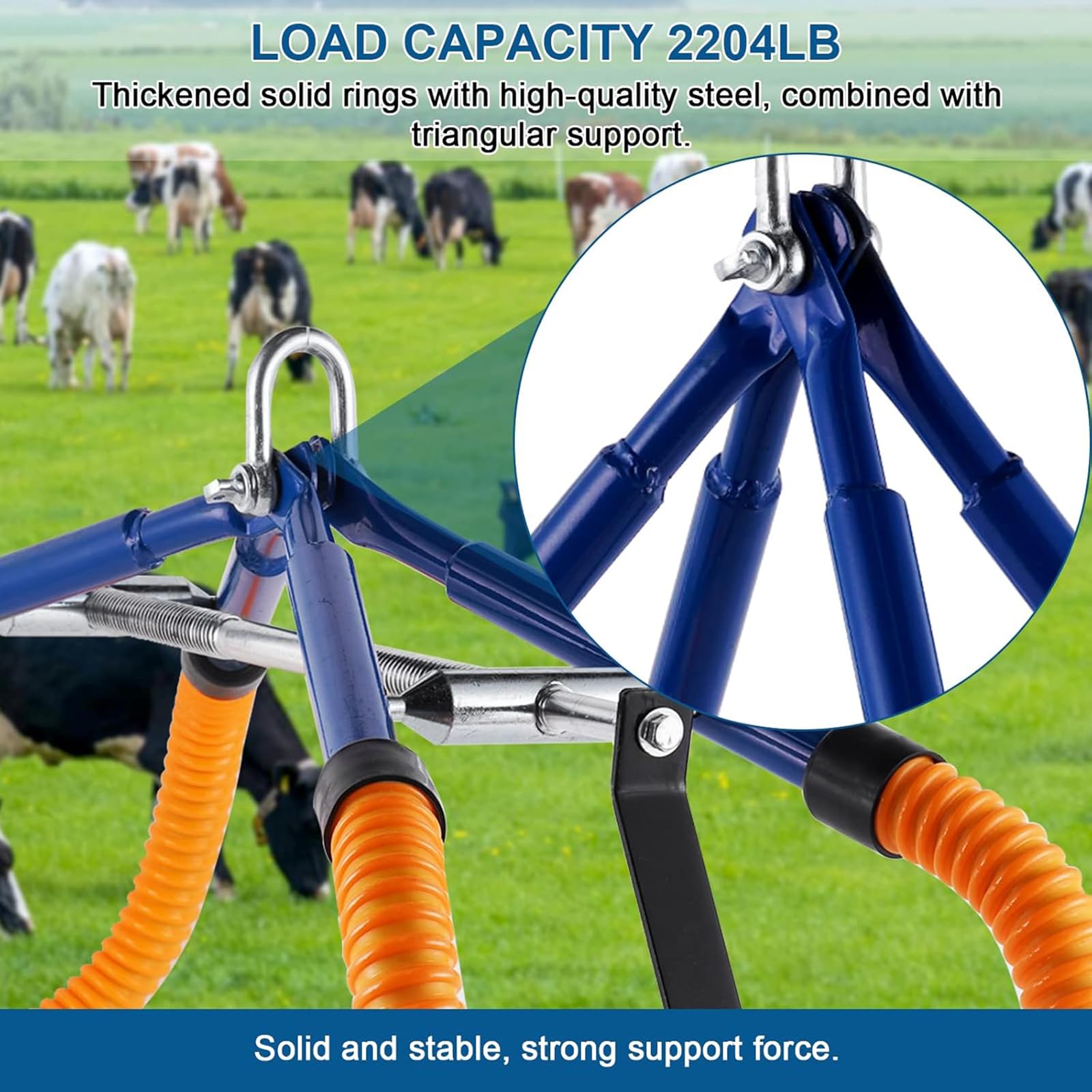 Morsetto regolabile per anca a forma di mucca, dispositivo di supporto in acciaio inox, portante 999,7 kg per la nascita di bovini zoppi, ideale per allevamenti lattiero-caseari