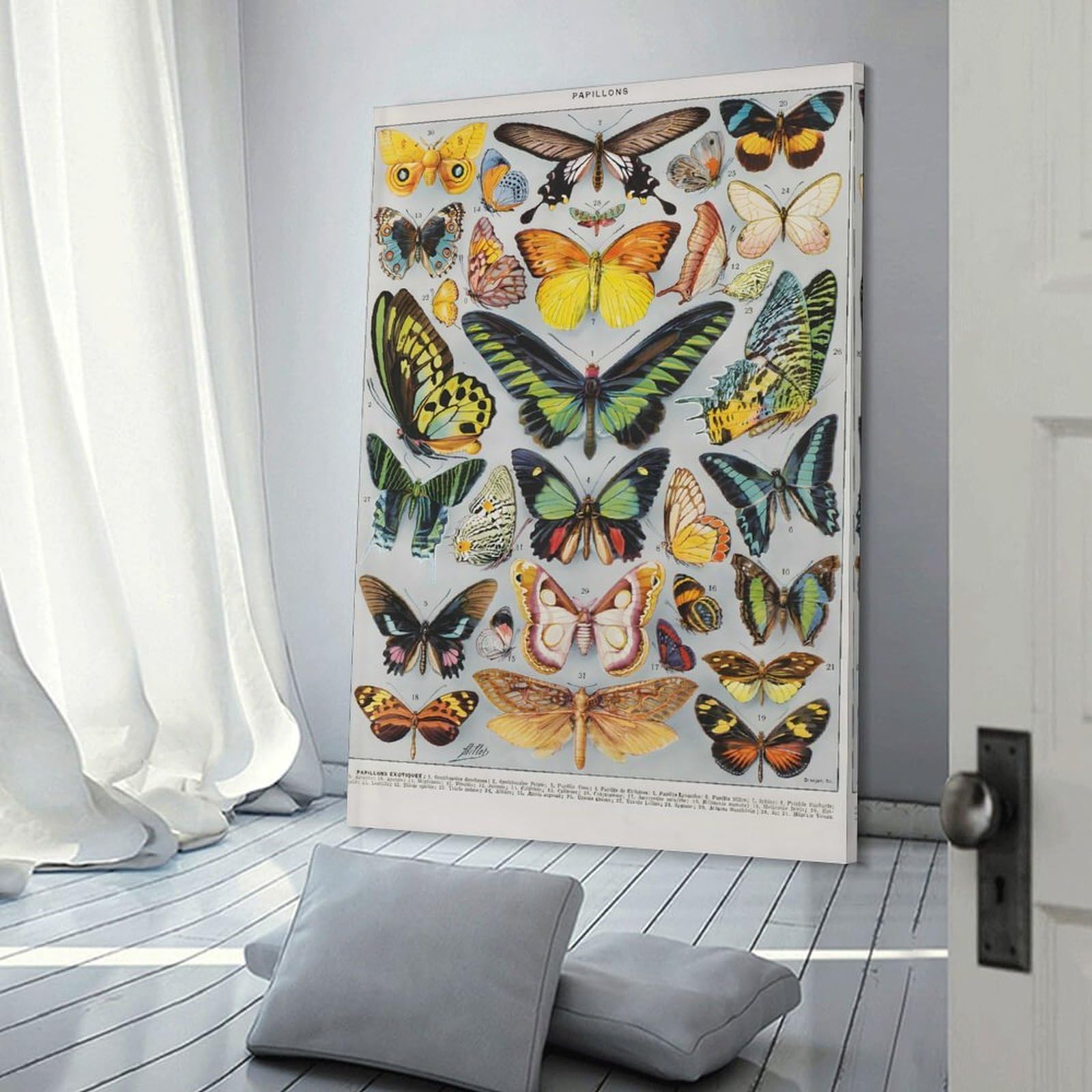 Junmoney Canvas Art Print Papillons, 20x30inch(50x75cm), for Office, Study Or Home Workspace, Home Office Artwork with Decorative Appeal