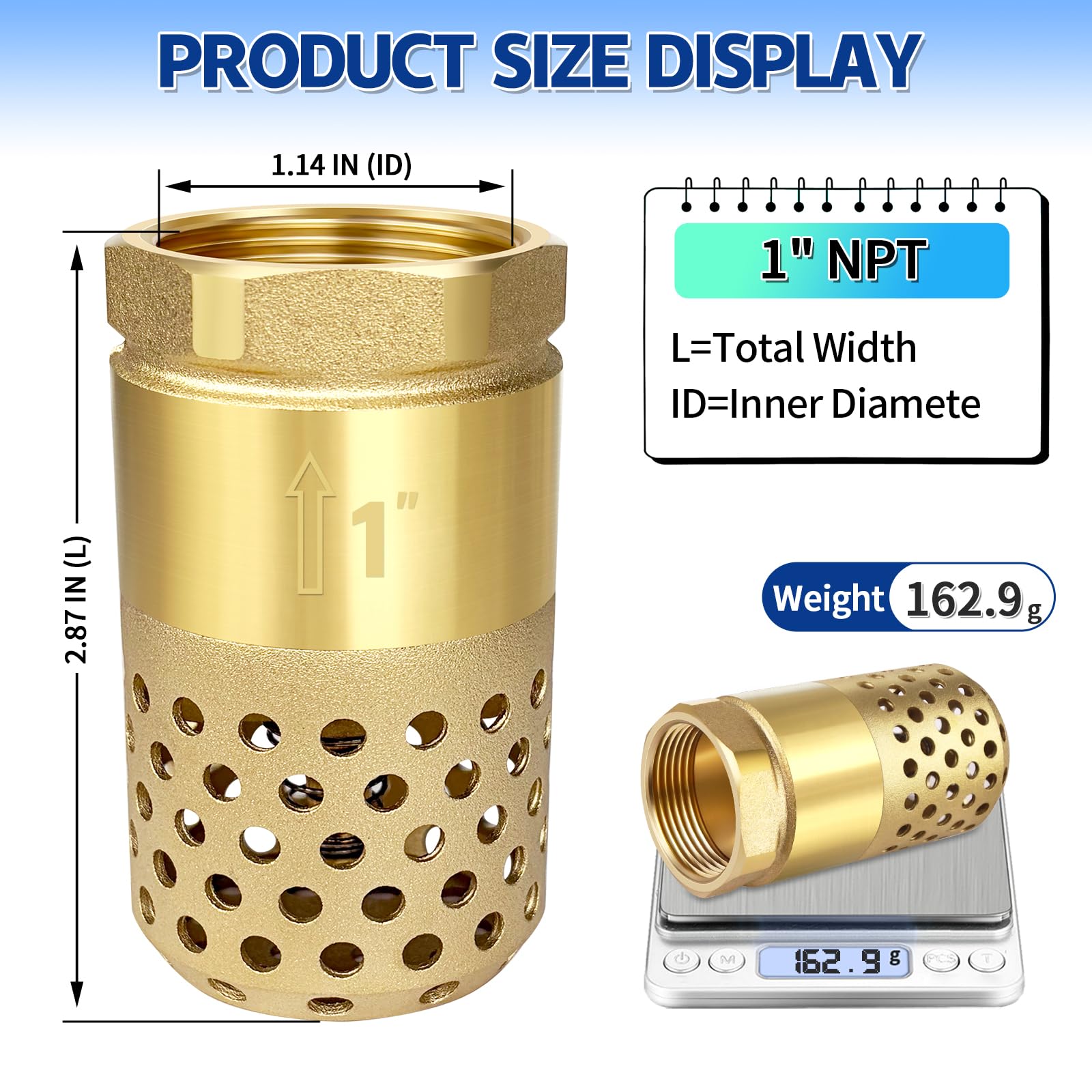 Snapklik.com : Brass Foot Valve 1 Inch NPT Heavy Duty Spring Mesh Check ...
