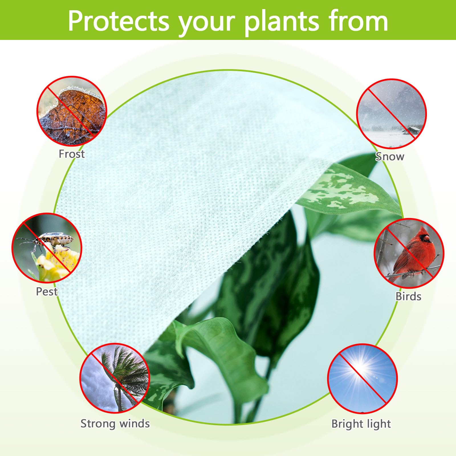 Jordbrux Garden Fleece, 30gsm 2.5m x 5m Plant Fleece Frost Protection Plant Cover for Winter Frost Cold Sun Insect Birds Protection - Image 3
