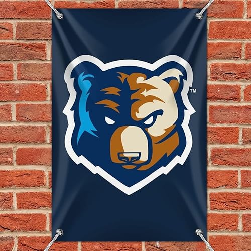 Miniatura 2 de Bob Jones University - Cartel de vinilo con logotipo primario para oficina en casa, 22 x 33 pulgadas (22.0 in x 33.1 in)