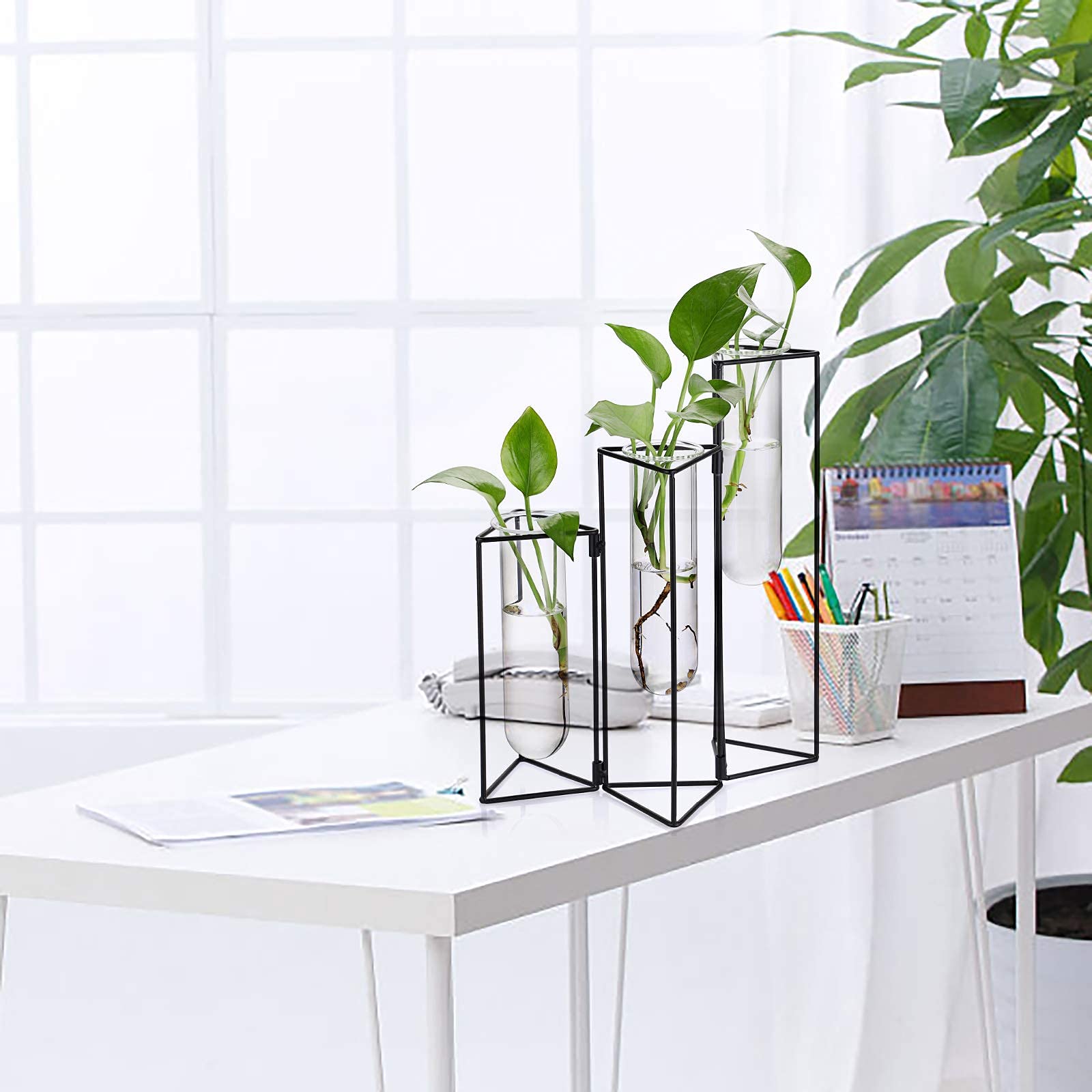 Kingdder Reagenzglas-Vase Aus Buchenholz – 4-teilig, Mit Magnet, Für Kühlschrank Oder Whiteboard – Deko Für Blumen, Kräuter & Fotos